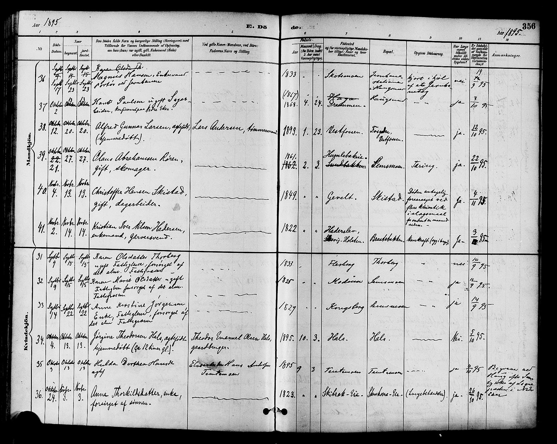 Eiker kirkebøker, SAKO/A-4/F/Fb/L0002: Parish register (official) no. II 2, 1889-1896, p. 356