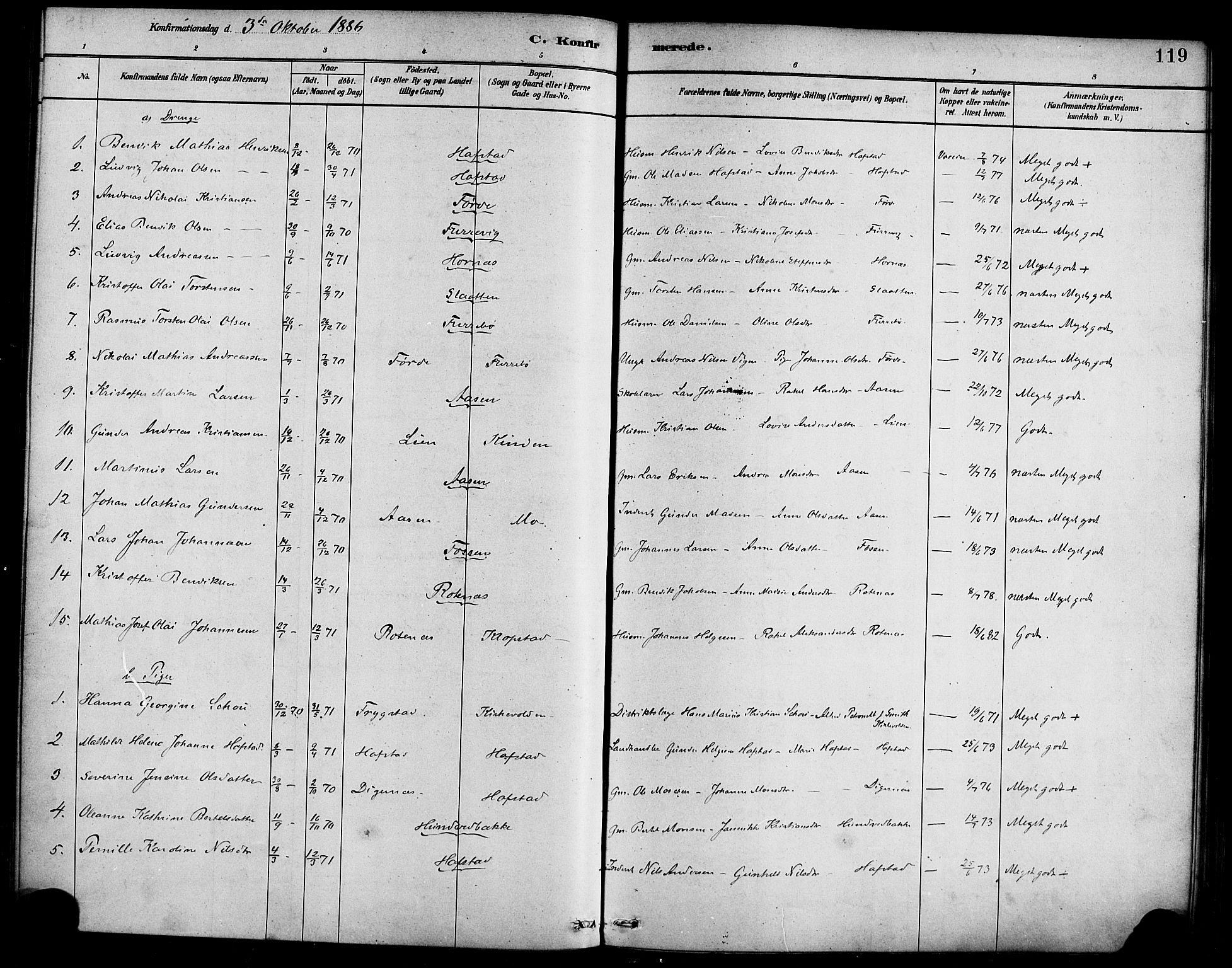 Førde sokneprestembete, SAB/A-79901/H/Haa/Haab/L0001: Parish register (official) no. B 1, 1880-1898, p. 119