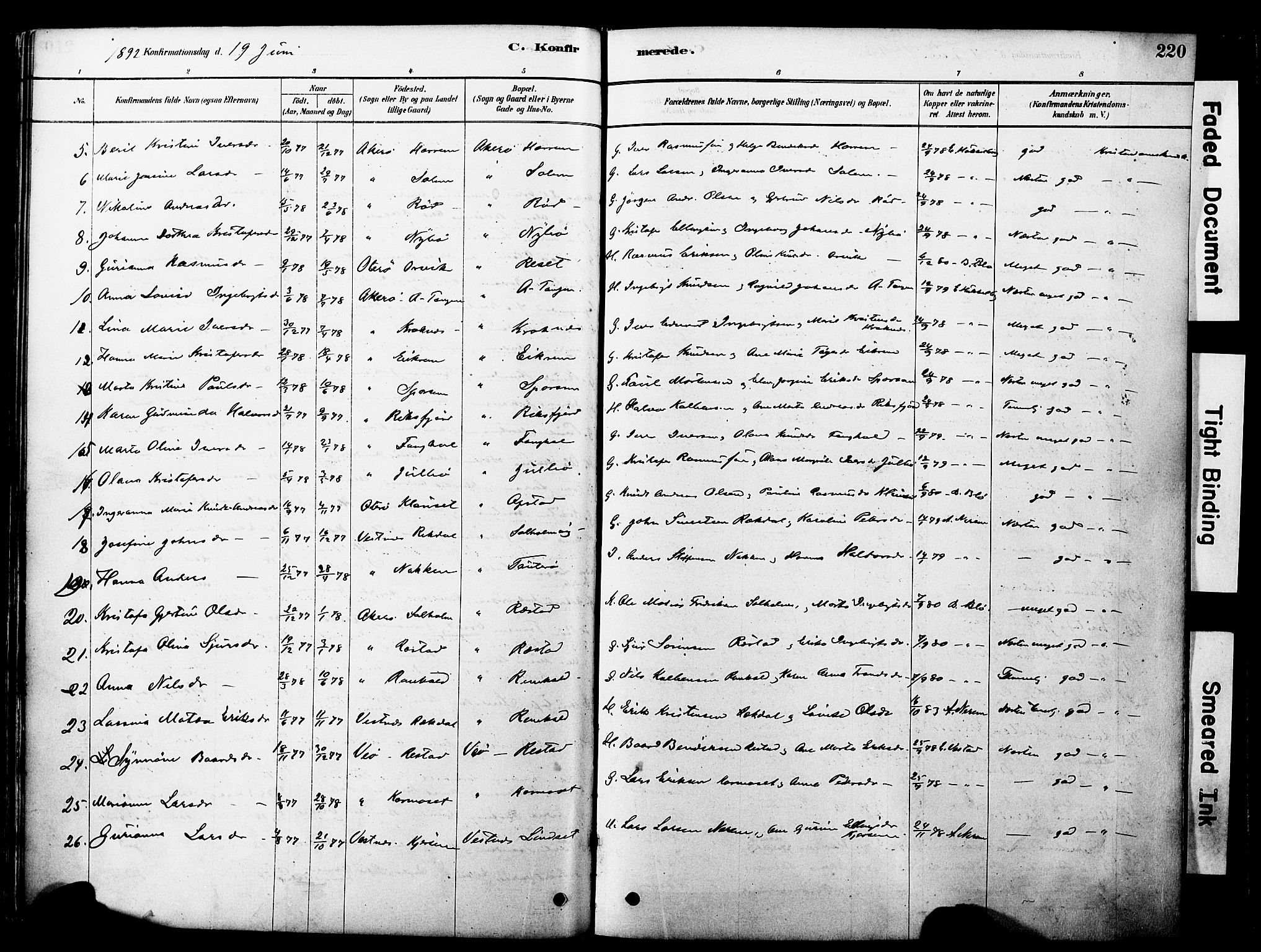 Ministerialprotokoller, klokkerbøker og fødselsregistre - Møre og Romsdal, AV/SAT-A-1454/560/L0721: Parish register (official) no. 560A05, 1878-1917, p. 220