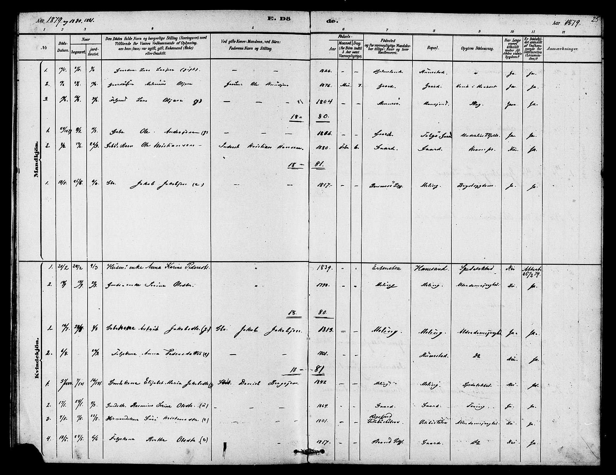 Finnøy sokneprestkontor, SAST/A-101825/H/Ha/Haa/L0009: Parish register (official) no. A 9, 1879-1888, p. 25