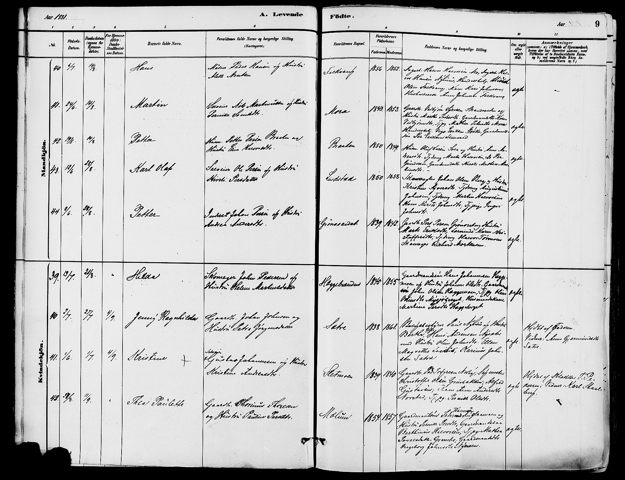 Trysil prestekontor, AV/SAH-PREST-046/H/Ha/Haa/L0008: Parish register (official) no. 8, 1881-1897, p. 9