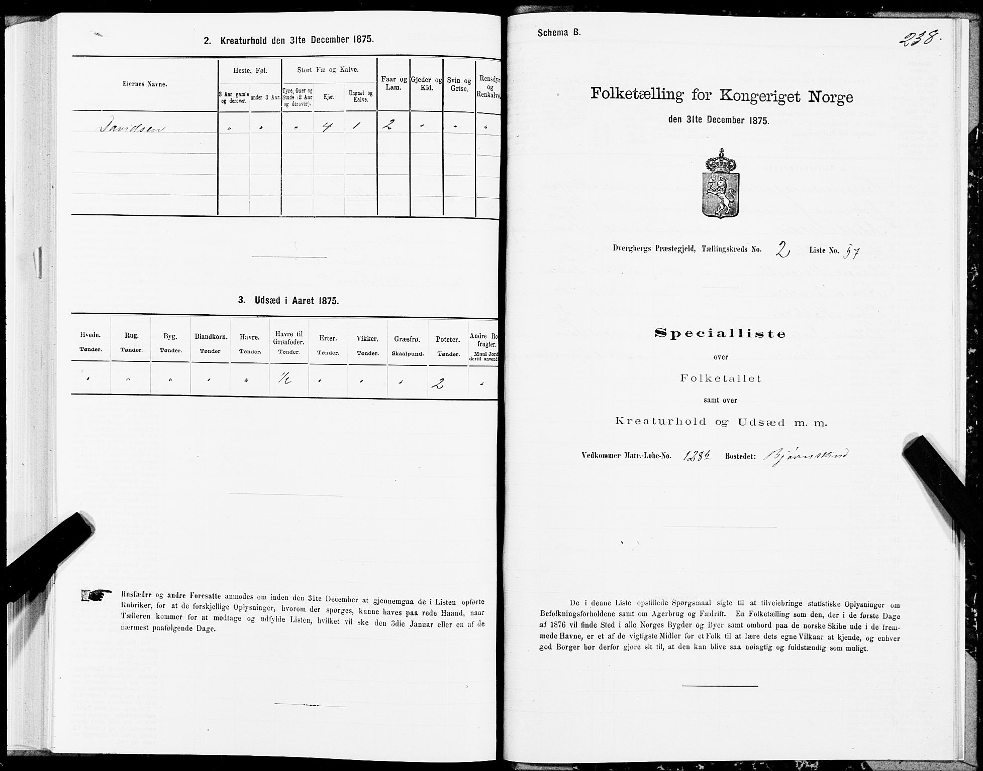 SAT, 1875 census for 1872P Dverberg, 1875, p. 1238