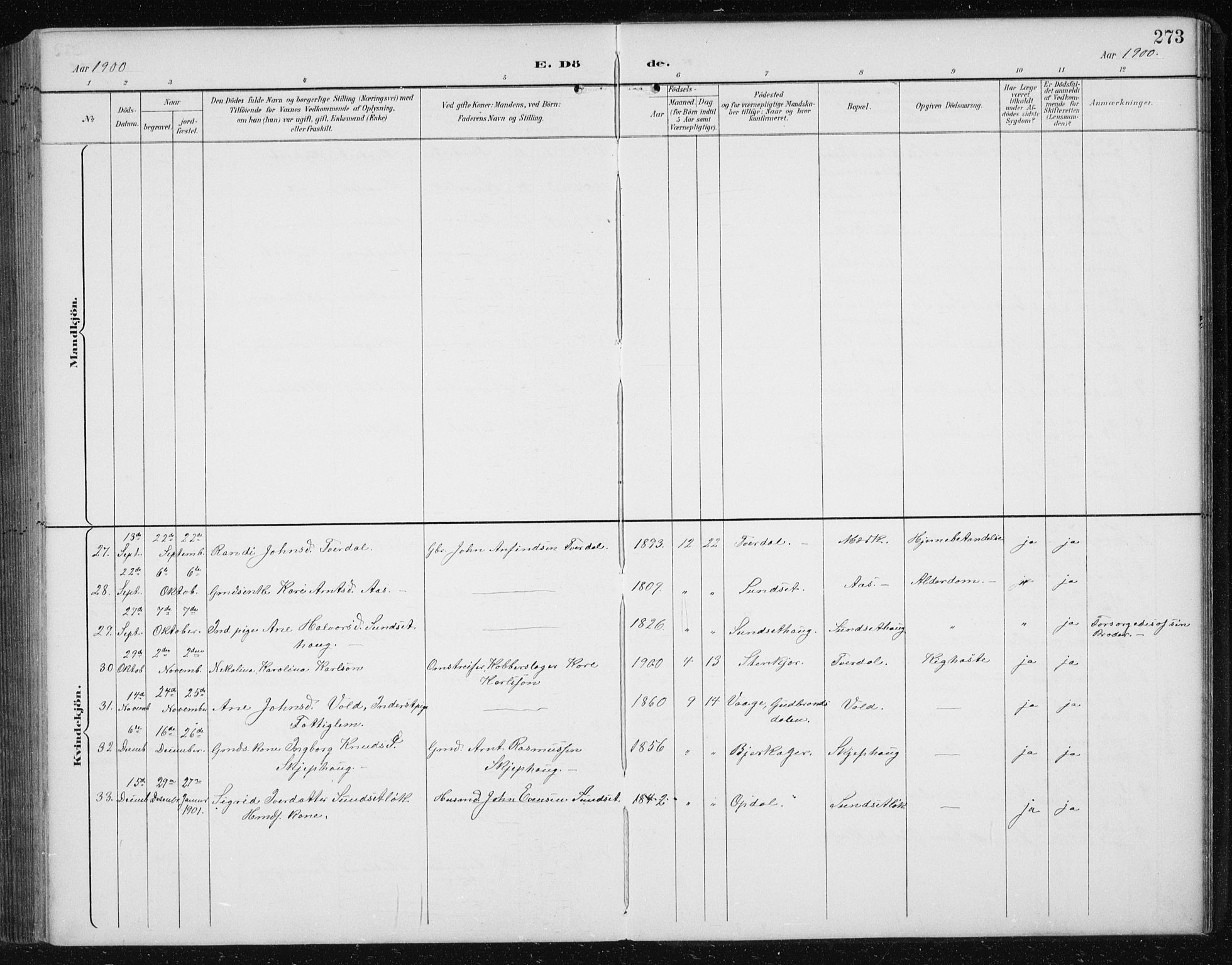 Ministerialprotokoller, klokkerbøker og fødselsregistre - Sør-Trøndelag, AV/SAT-A-1456/674/L0876: Parish register (copy) no. 674C03, 1892-1912, p. 273