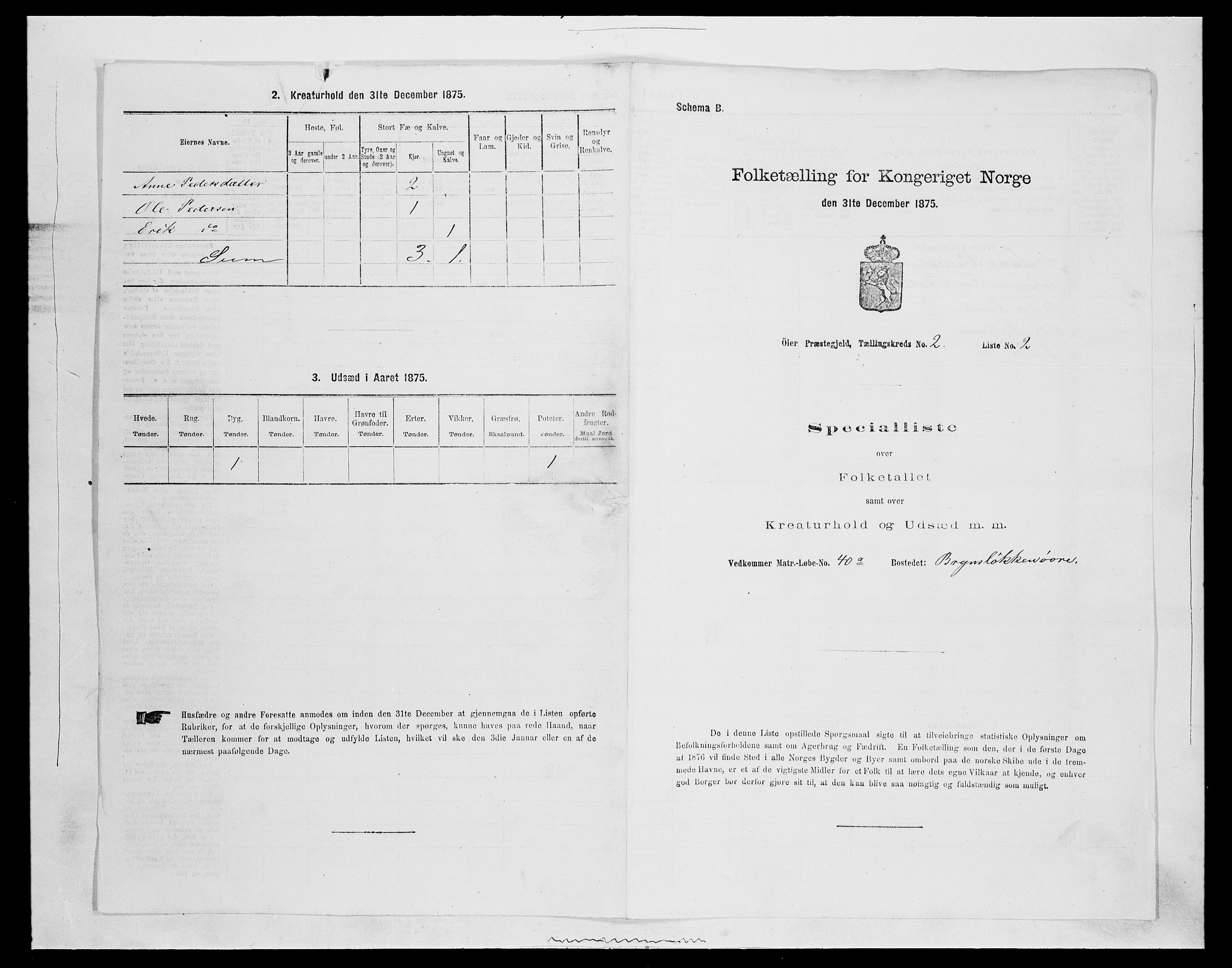 SAH, 1875 census for 0521P Øyer, 1875, p. 336