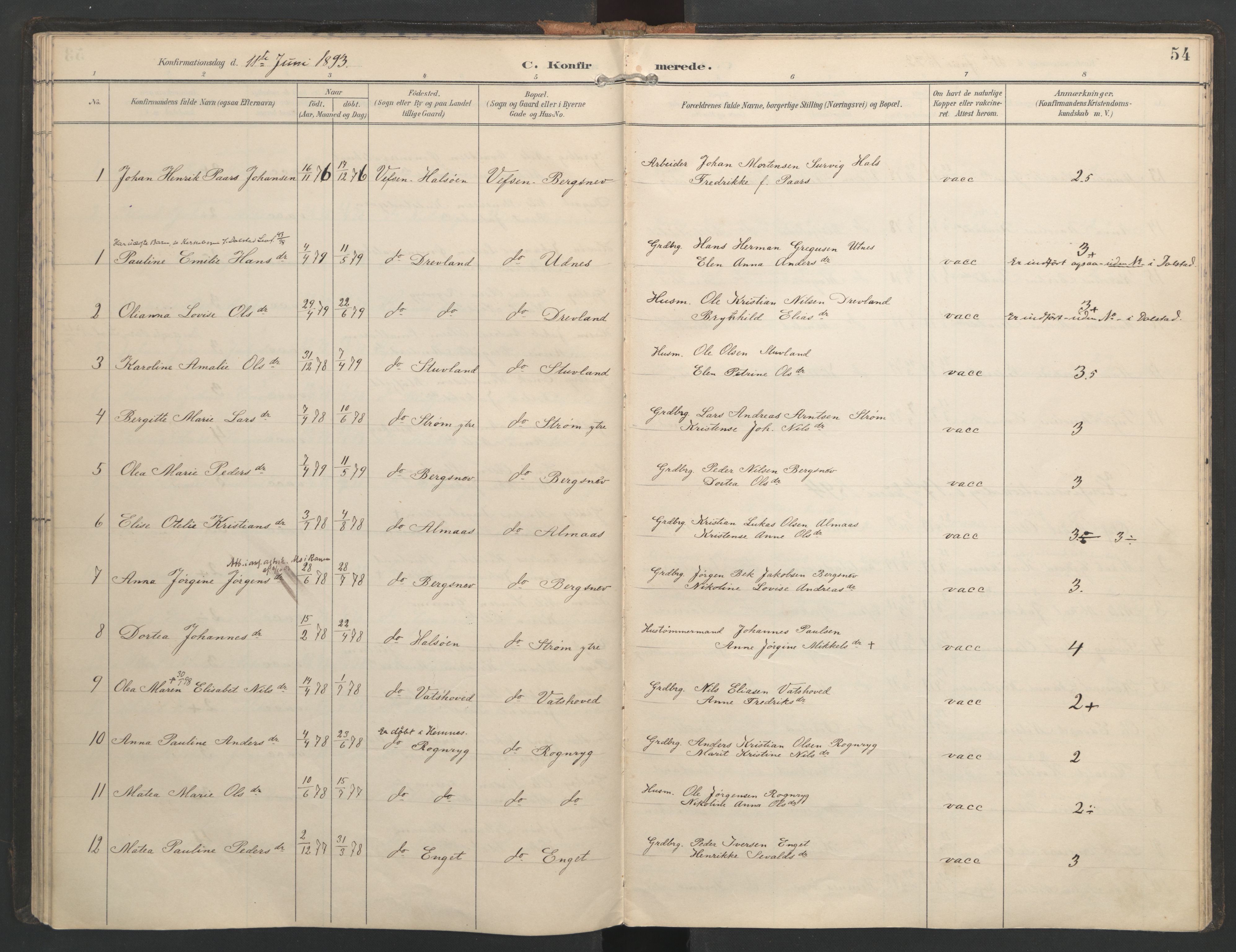 Ministerialprotokoller, klokkerbøker og fødselsregistre - Nordland, SAT/A-1459/821/L0317: Parish register (official) no. 821A01, 1892-1907, p. 54