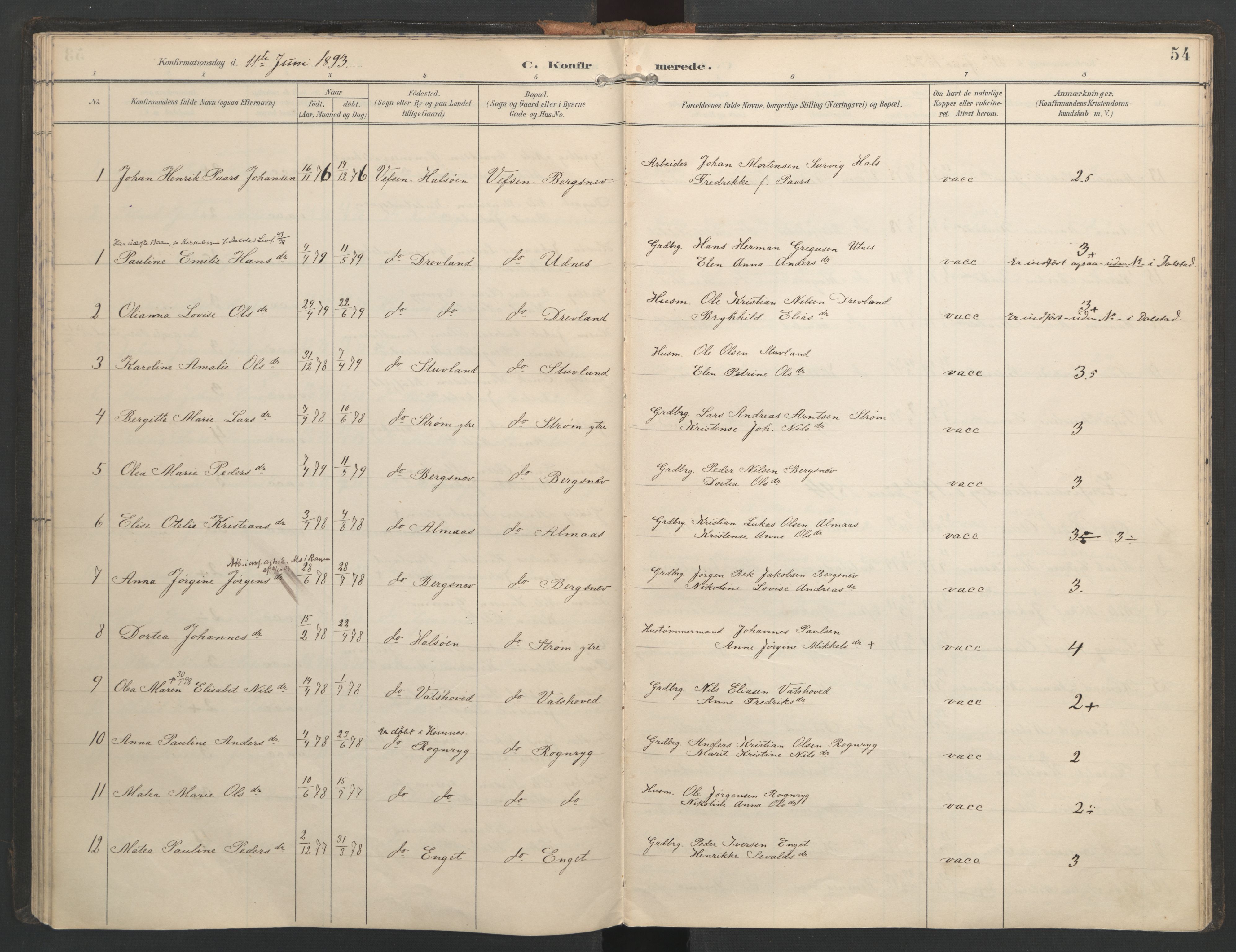 Ministerialprotokoller, klokkerbøker og fødselsregistre - Nordland, AV/SAT-A-1459/821/L0317: Parish register (official) no. 821A01, 1892-1907, p. 54