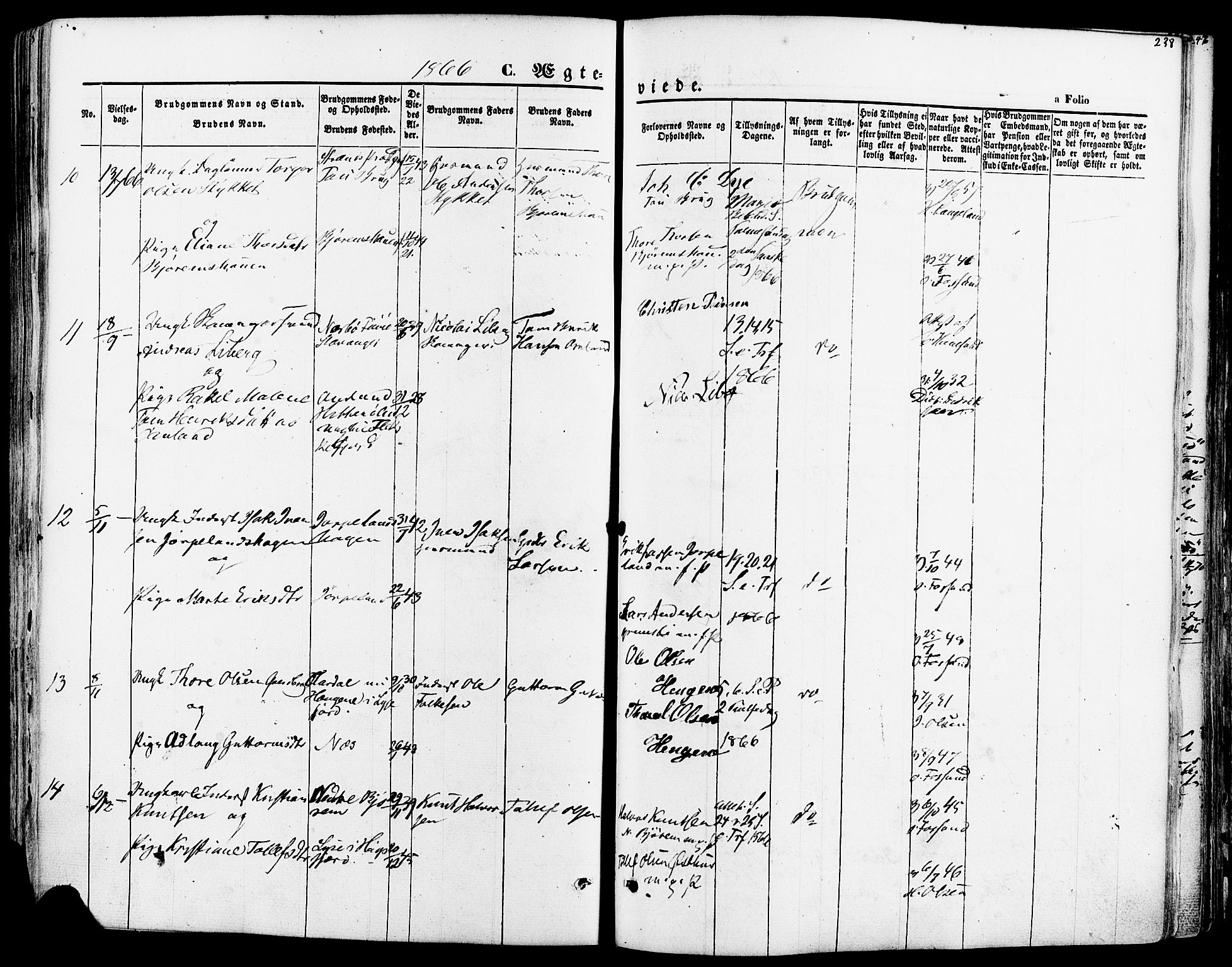 Strand sokneprestkontor, AV/SAST-A-101828/H/Ha/Haa/L0007: Parish register (official) no. A 7, 1855-1881, p. 238