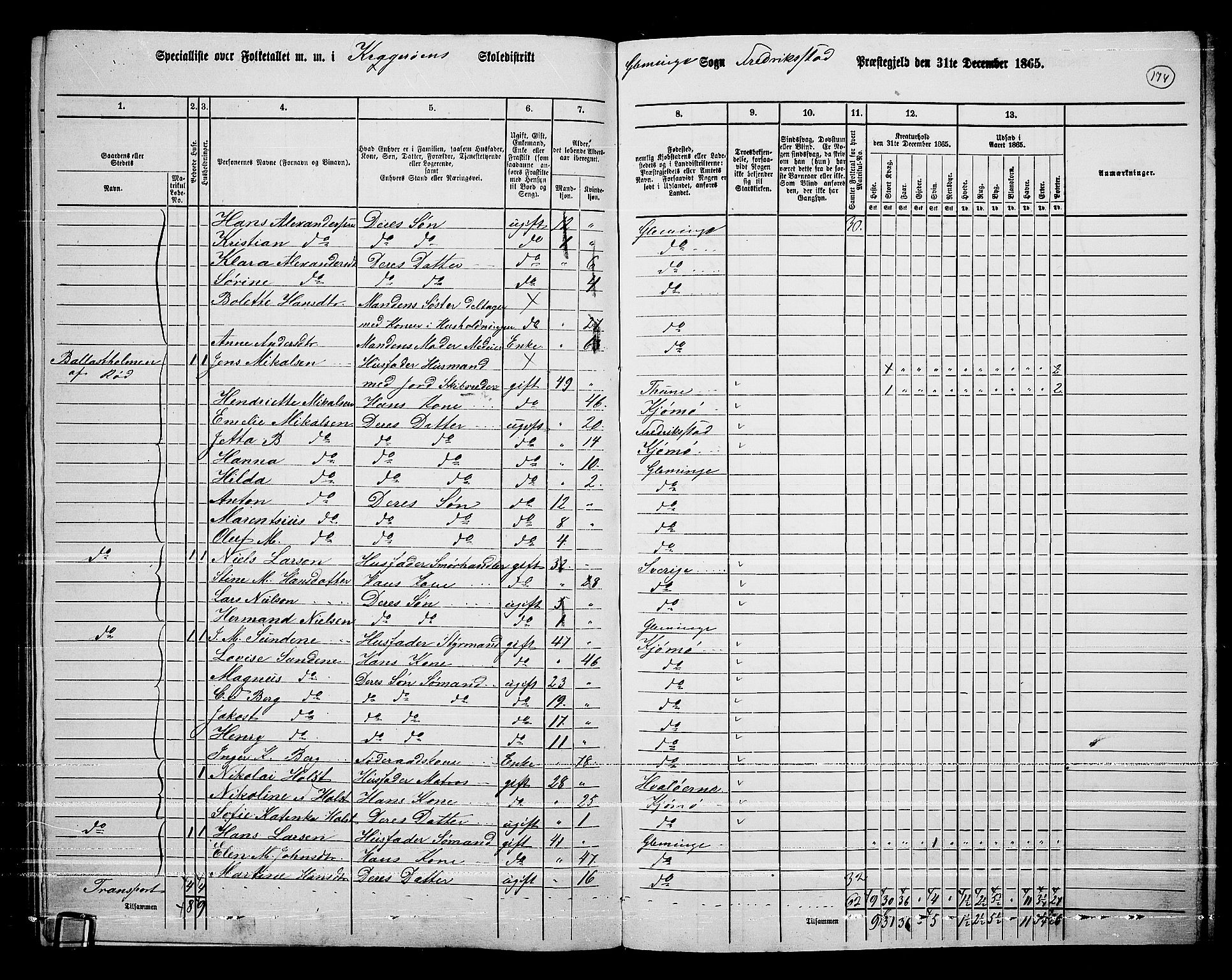 RA, 1865 census for Fredrikstad/Glemmen, 1865, p. 163