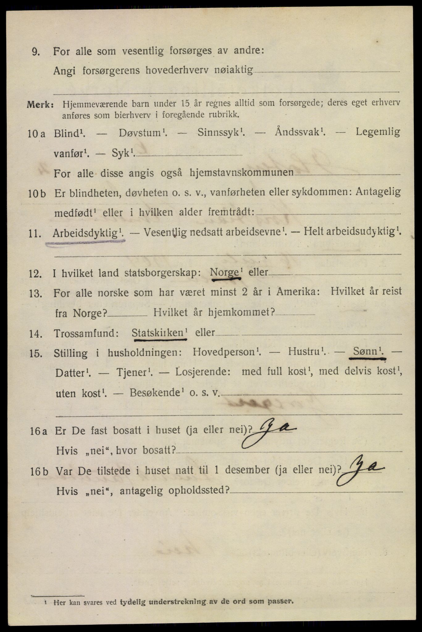 SAKO, 1920 census for Horten, 1920, p. 10356