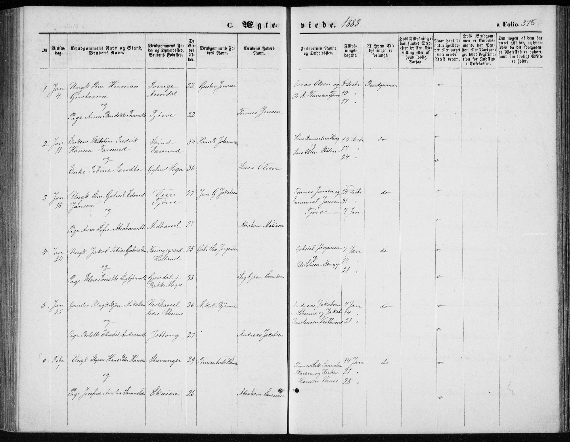 Lista sokneprestkontor, AV/SAK-1111-0027/F/Fb/L0004: Parish register (copy) no. B 4, 1877-1891, p. 376