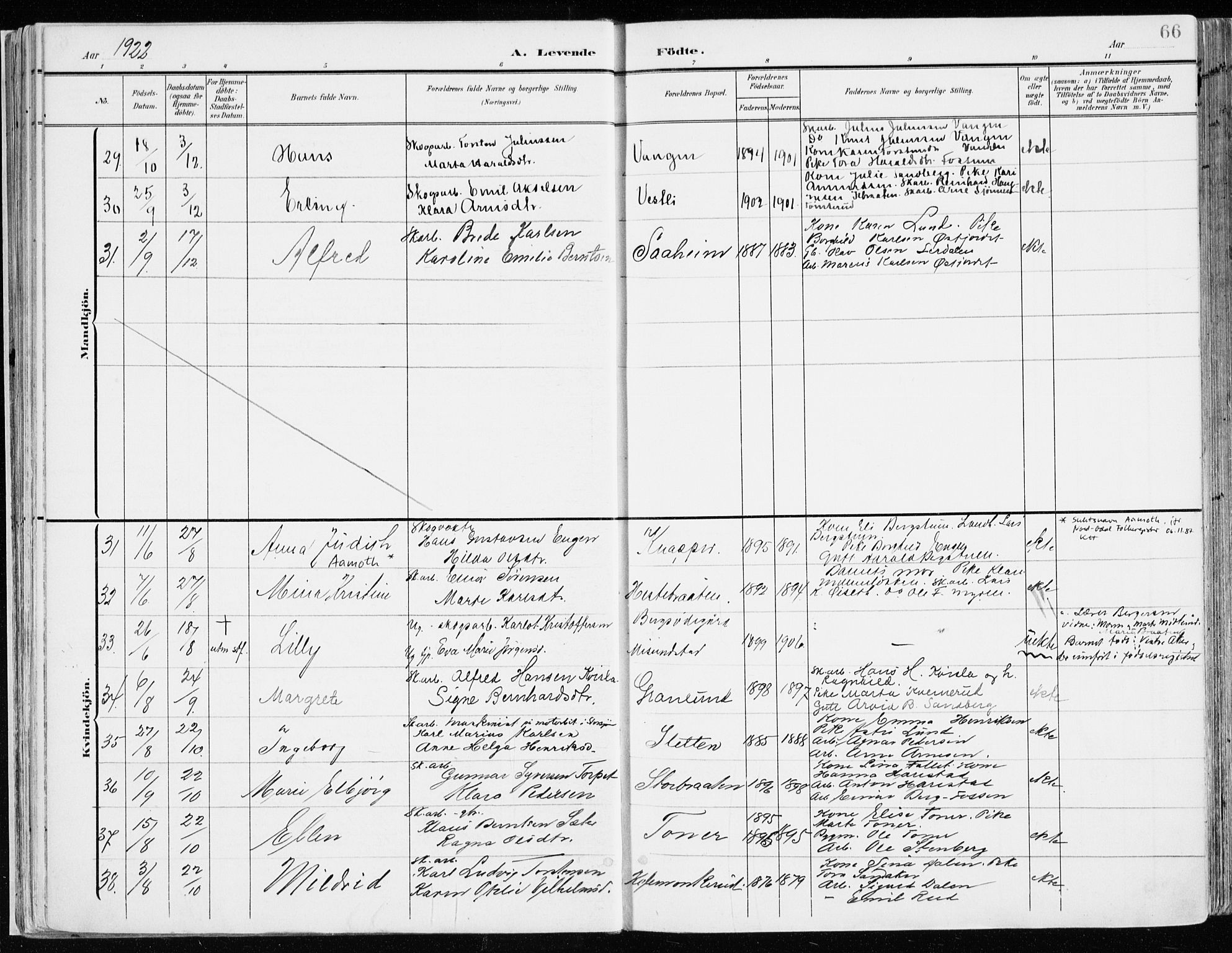 Nord-Odal prestekontor, AV/SAH-PREST-032/H/Ha/Haa/L0009: Parish register (official) no. 9, 1902-1926, p. 66