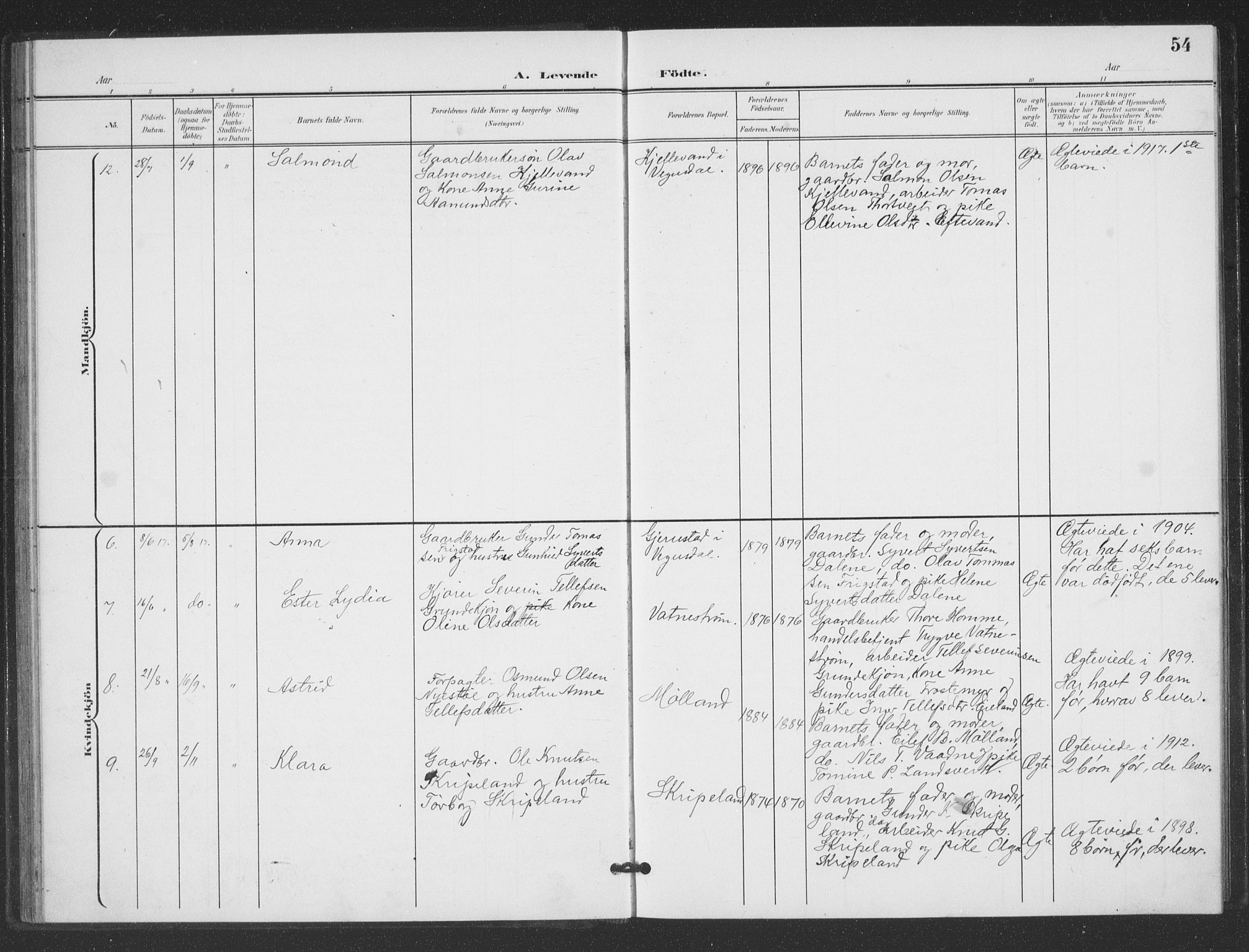 Evje sokneprestkontor, AV/SAK-1111-0008/F/Fb/Fbc/L0005: Parish register (copy) no. B 5, 1901-1935, p. 54