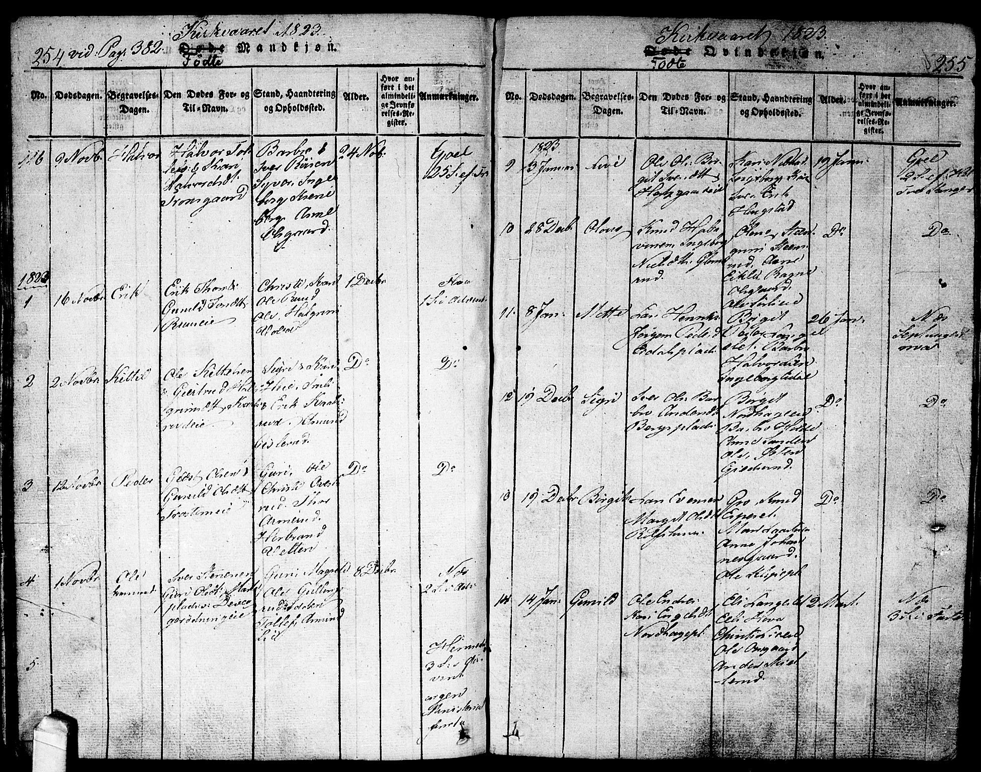 Nes kirkebøker, AV/SAKO-A-236/F/Fa/L0007: Parish register (official) no. 7, 1815-1823, p. 254-255