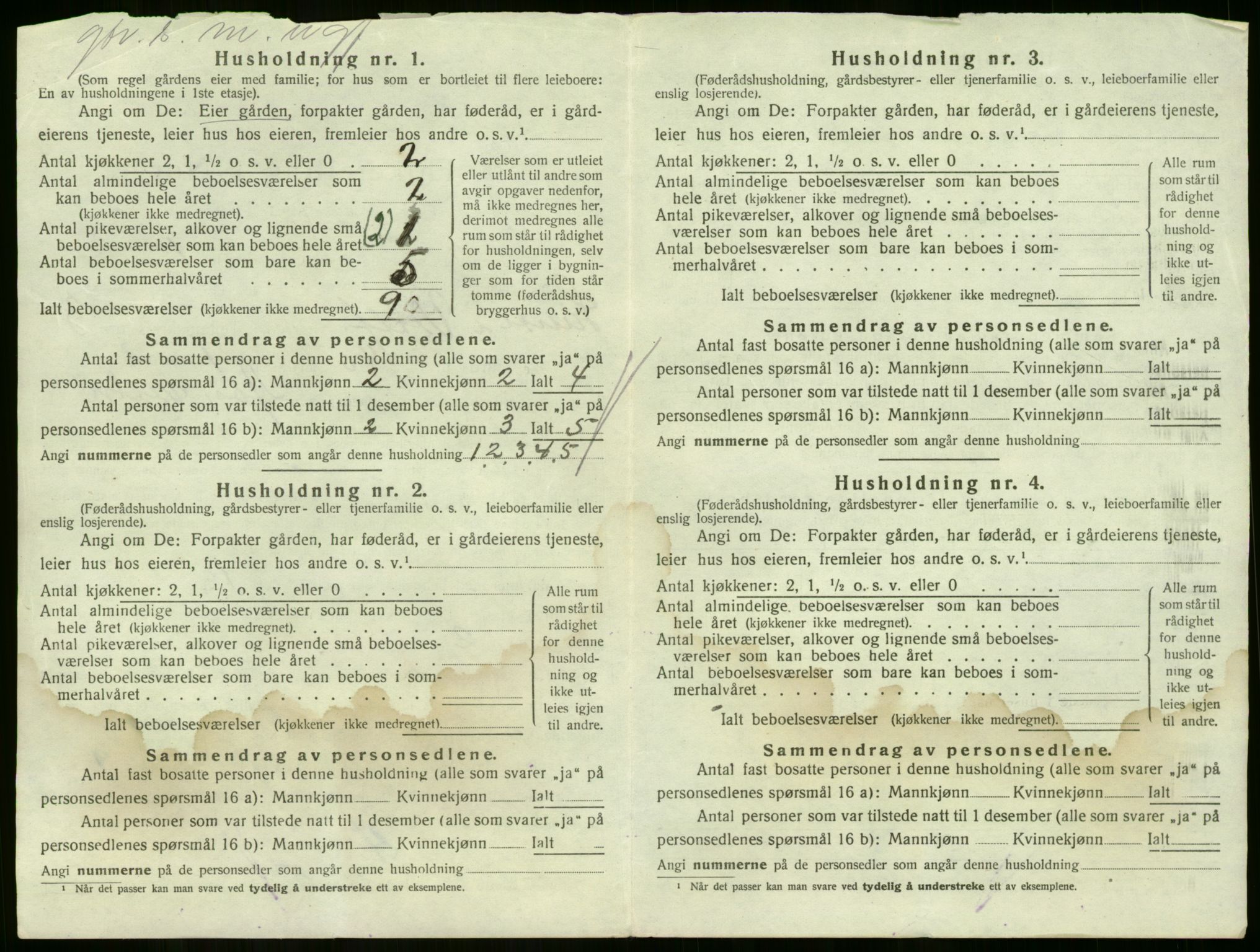 SAKO, 1920 census for Sande, 1920, p. 496