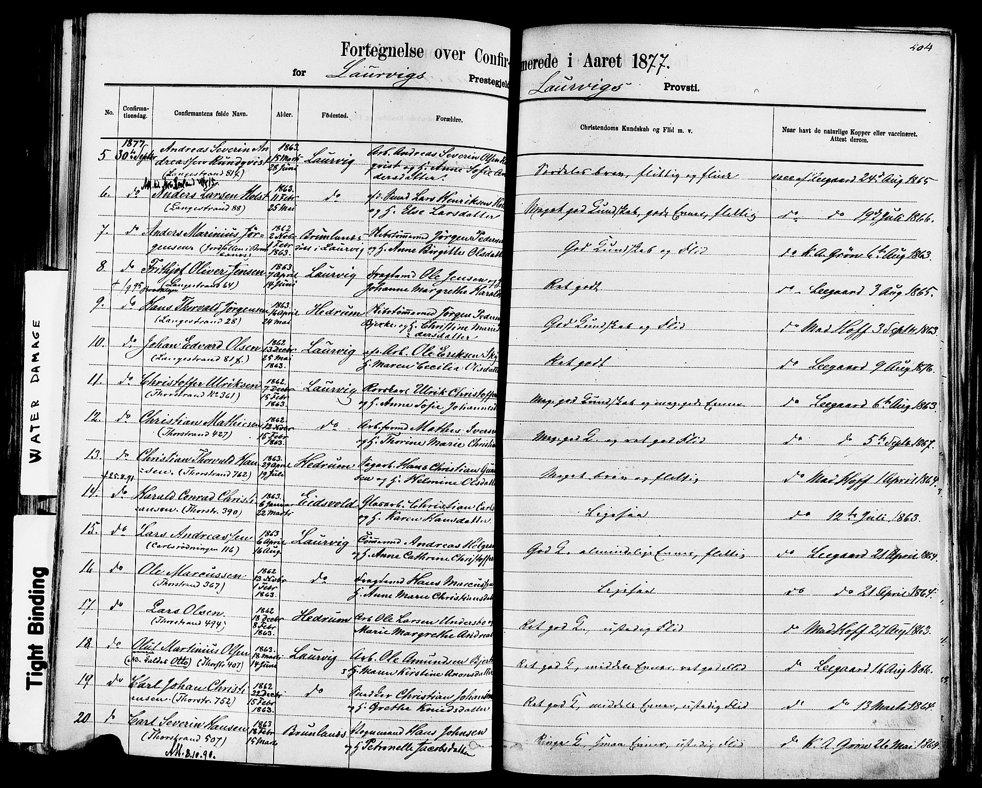 Larvik kirkebøker, AV/SAKO-A-352/F/Fa/L0006: Parish register (official) no. I 6, 1871-1883, p. 404