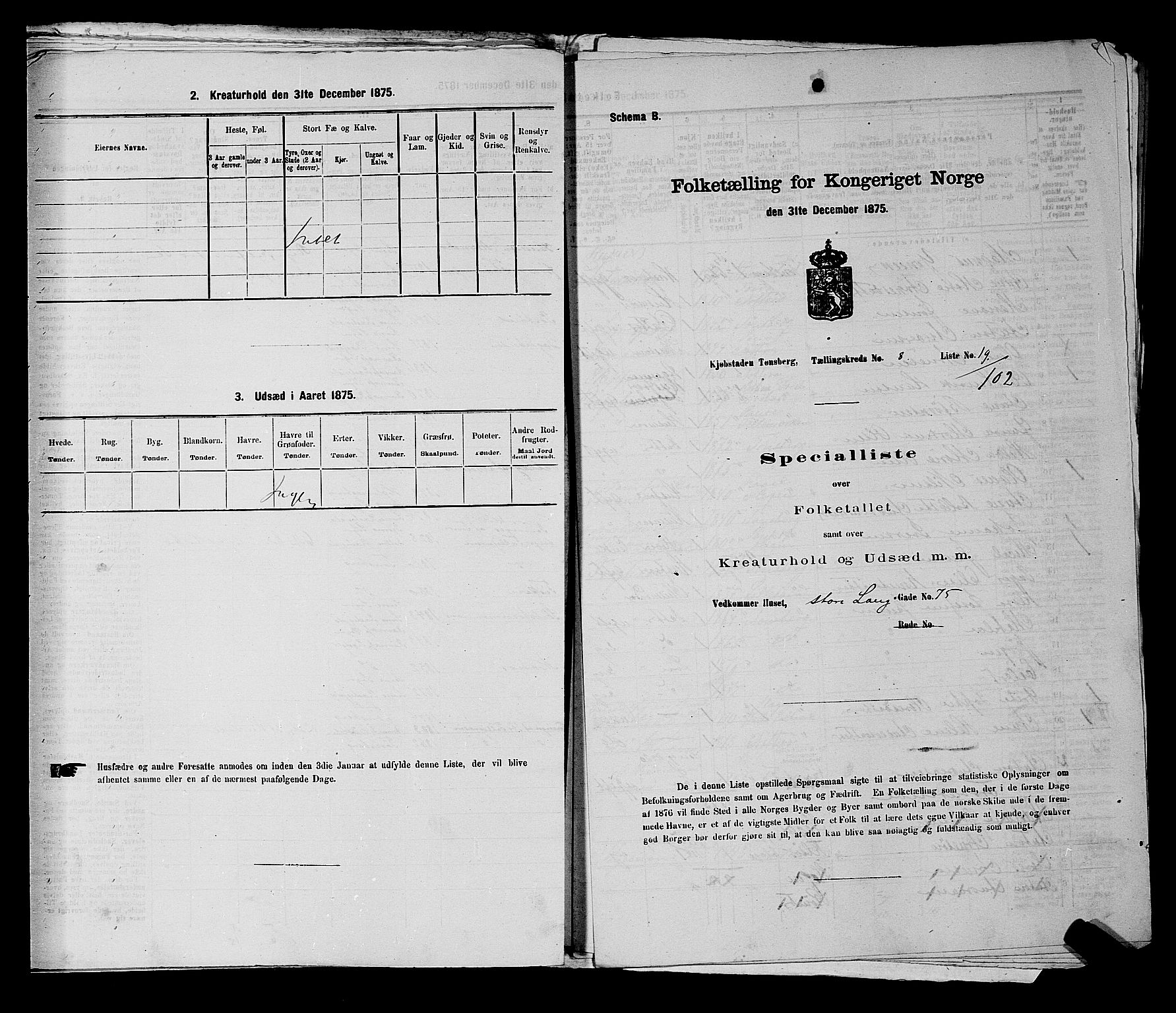 SAKO, 1875 census for 0705P Tønsberg, 1875, p. 260