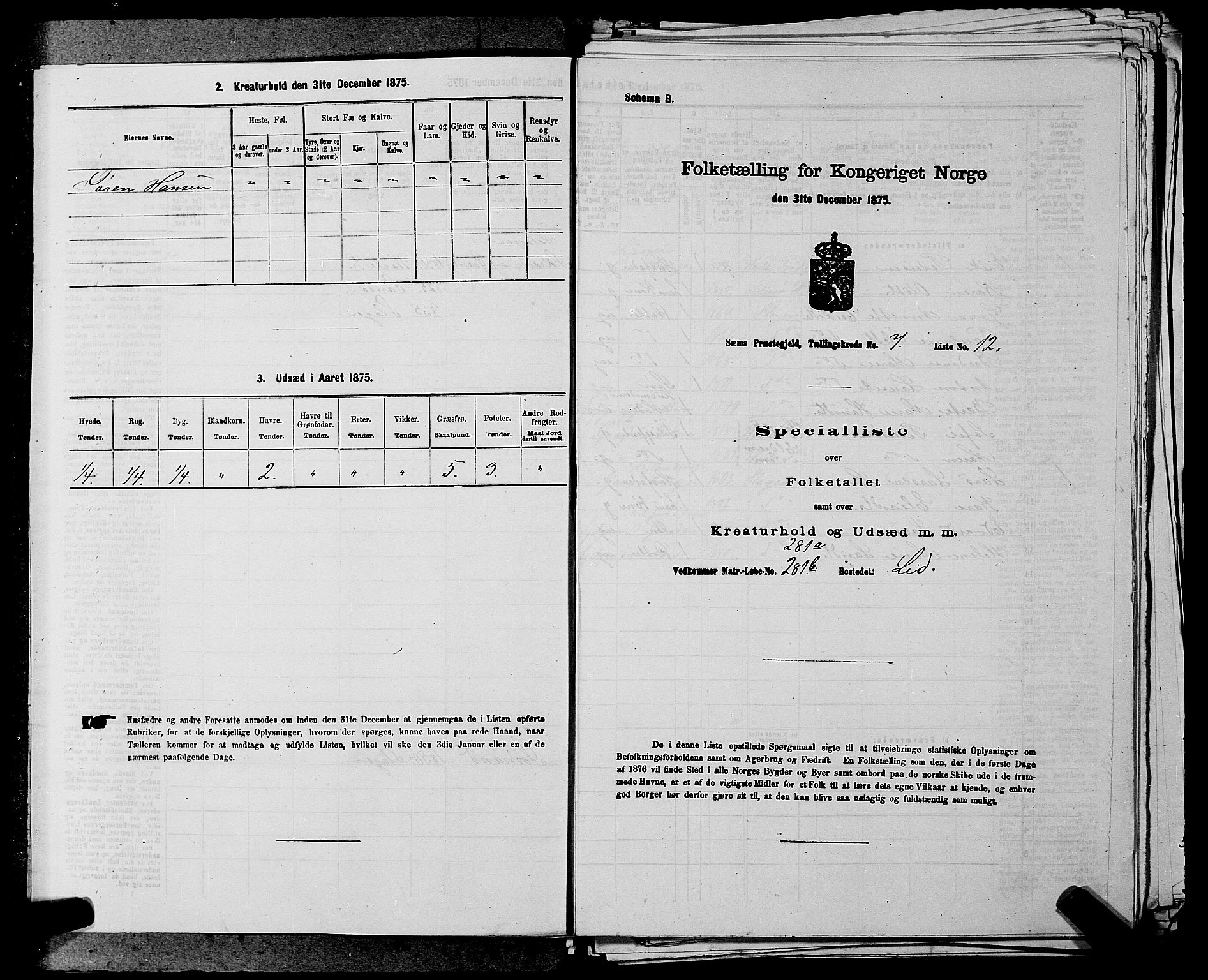 SAKO, 1875 census for 0721P Sem, 1875, p. 1163