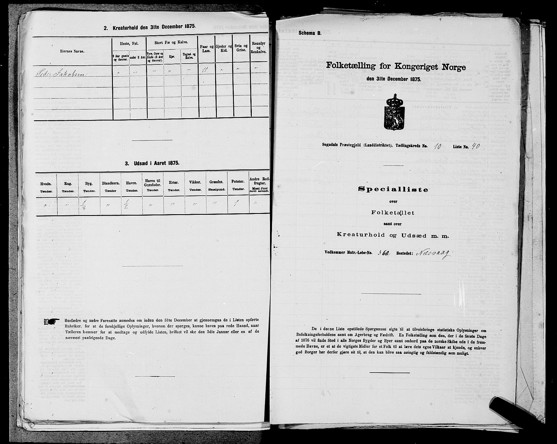 SAST, 1875 census for 1111L Sokndal/Sokndal, 1875, p. 1015