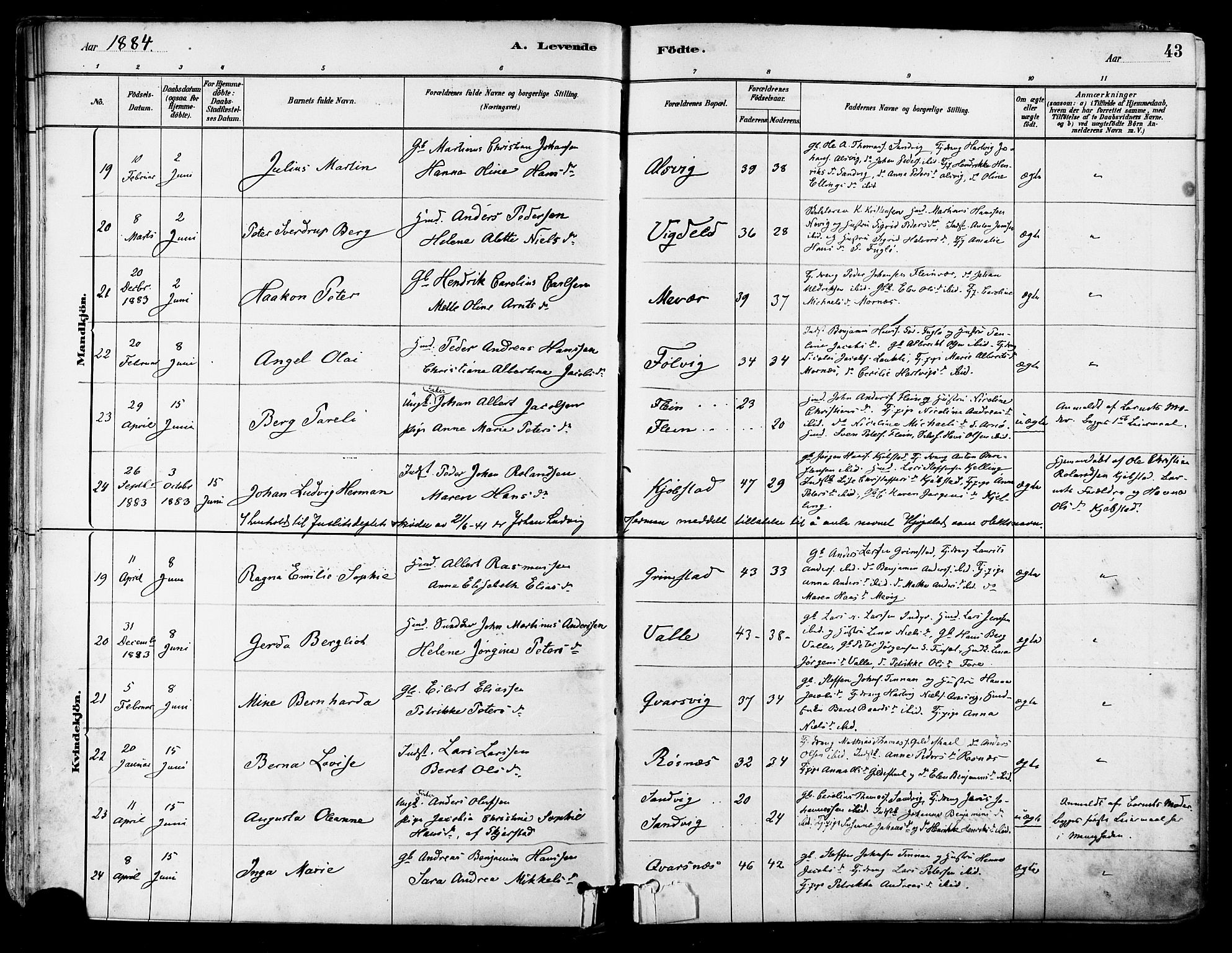 Ministerialprotokoller, klokkerbøker og fødselsregistre - Nordland, SAT/A-1459/805/L0099: Parish register (official) no. 805A06, 1880-1891, p. 43