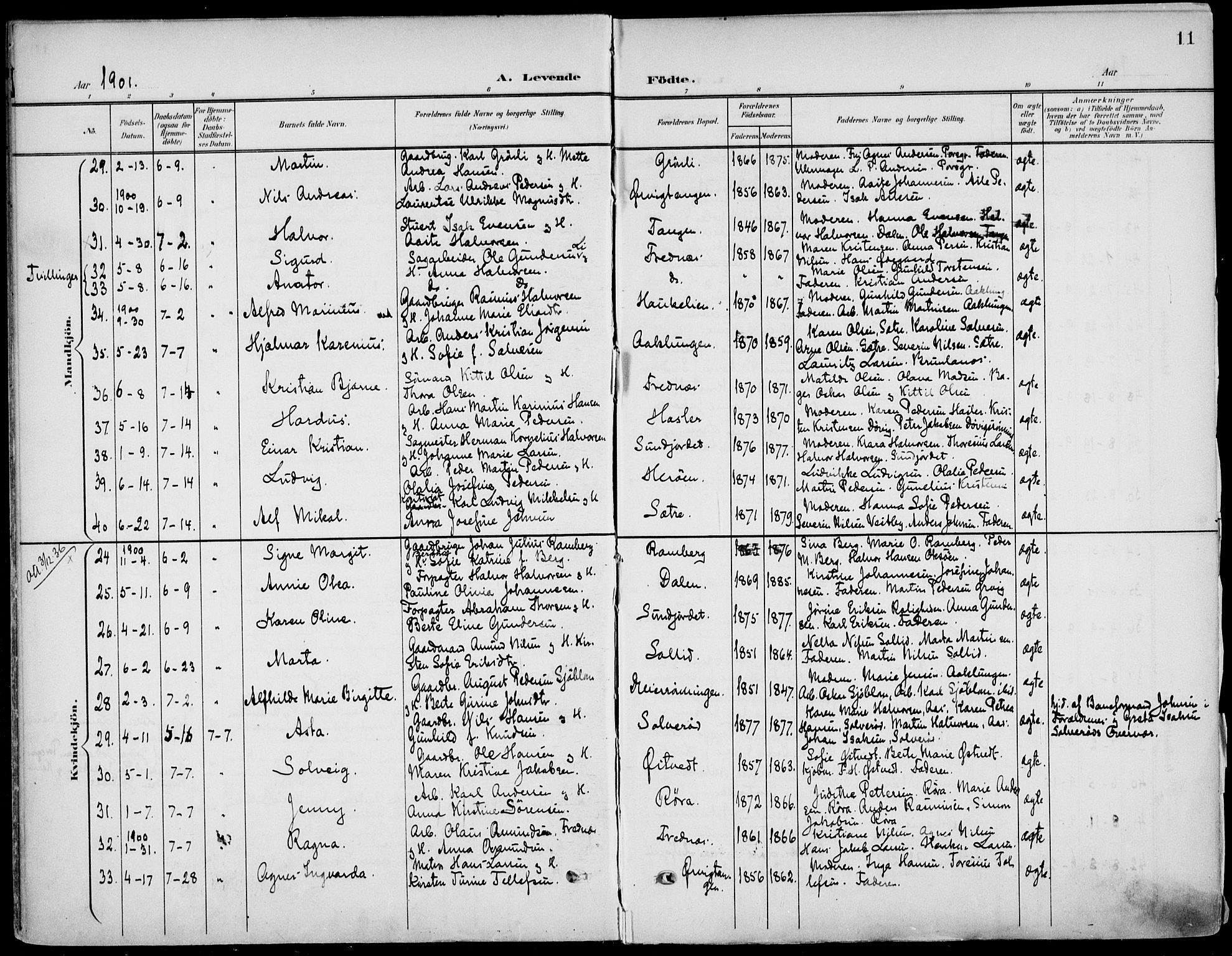 Eidanger kirkebøker, AV/SAKO-A-261/F/Fa/L0013: Parish register (official) no. 13, 1900-1913, p. 11