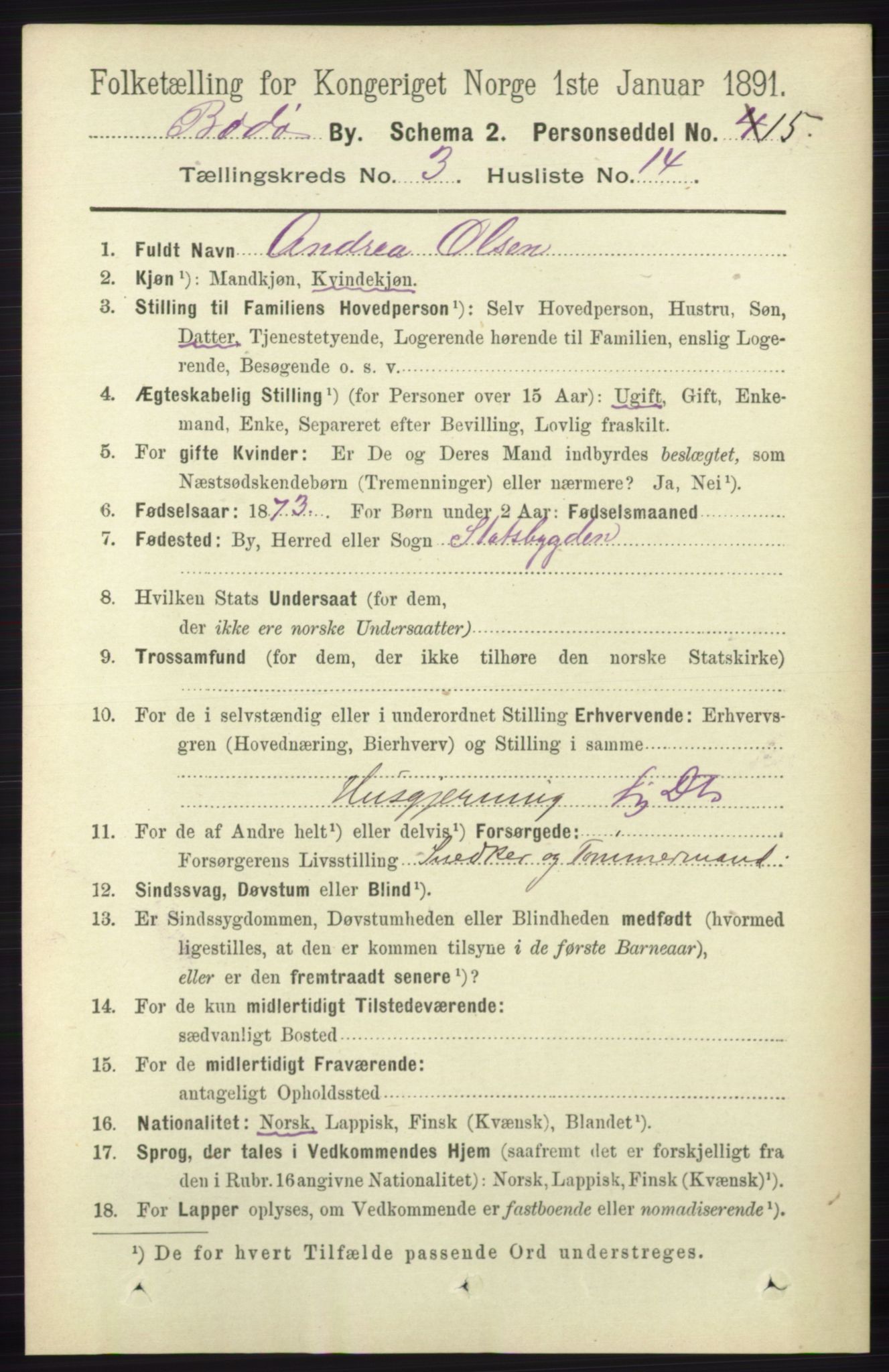 RA, 1891 census for 1804 Bodø, 1891, p. 2194