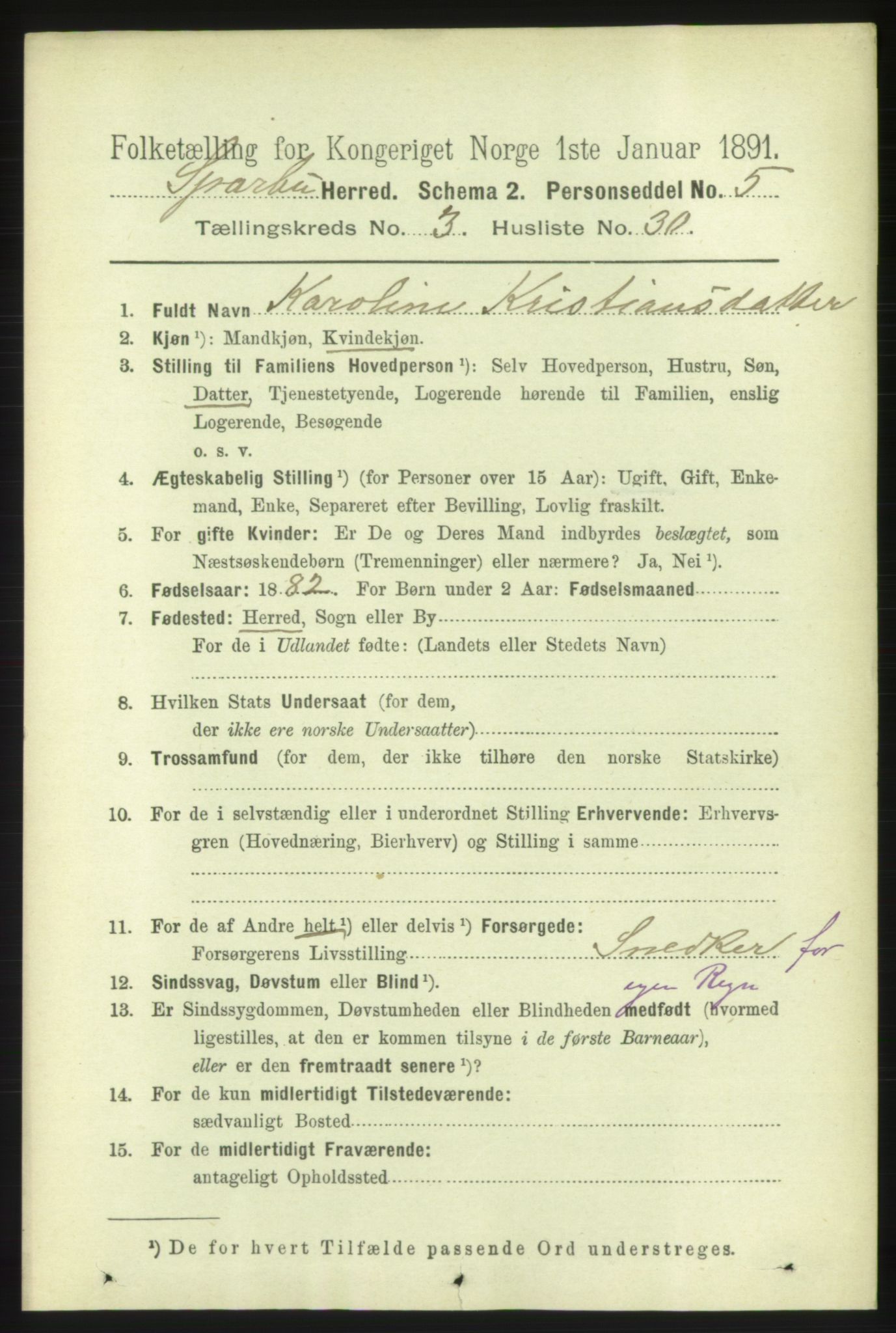 RA, 1891 census for 1731 Sparbu, 1891, p. 1029