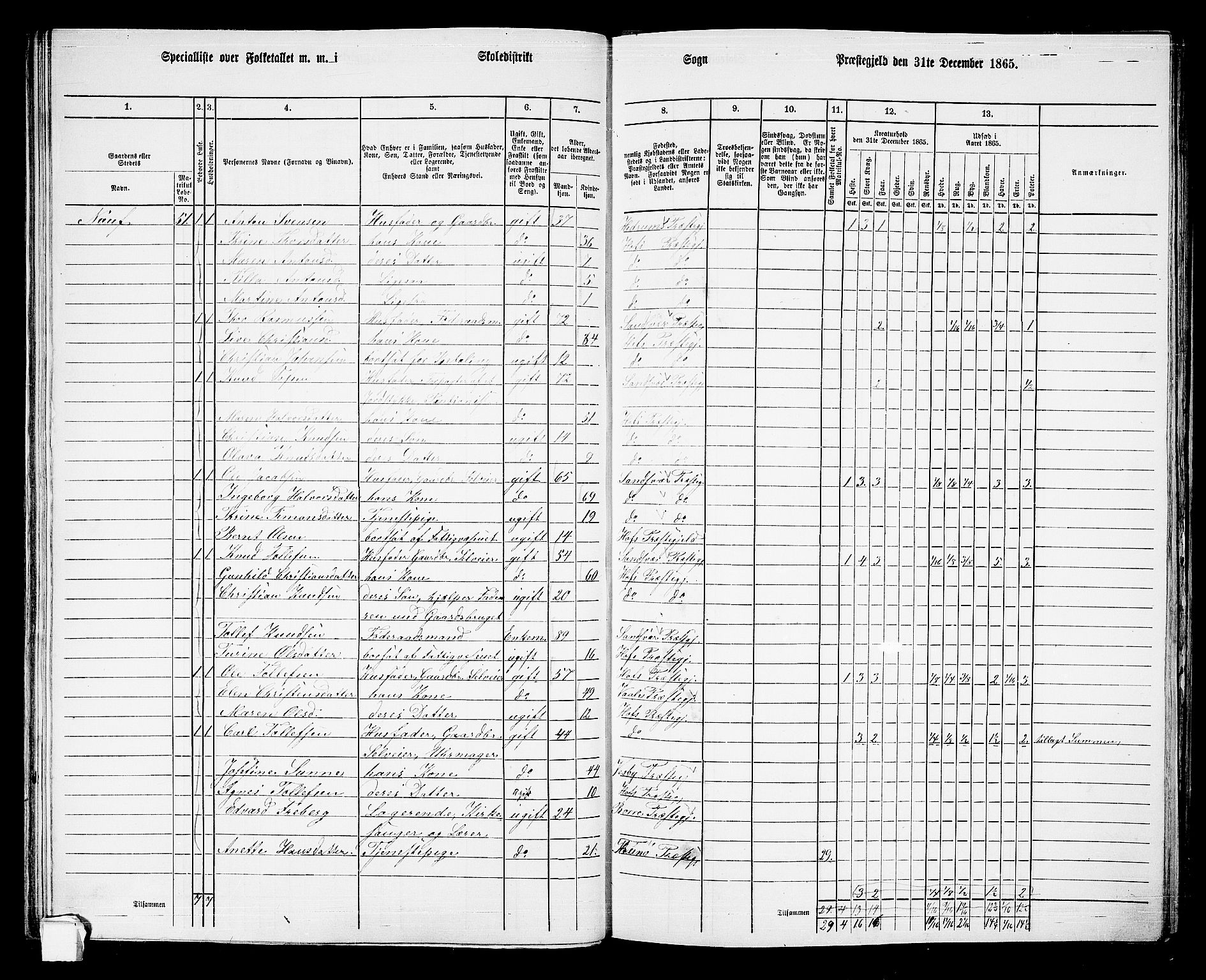 RA, 1865 census for Hof, 1865, p. 63