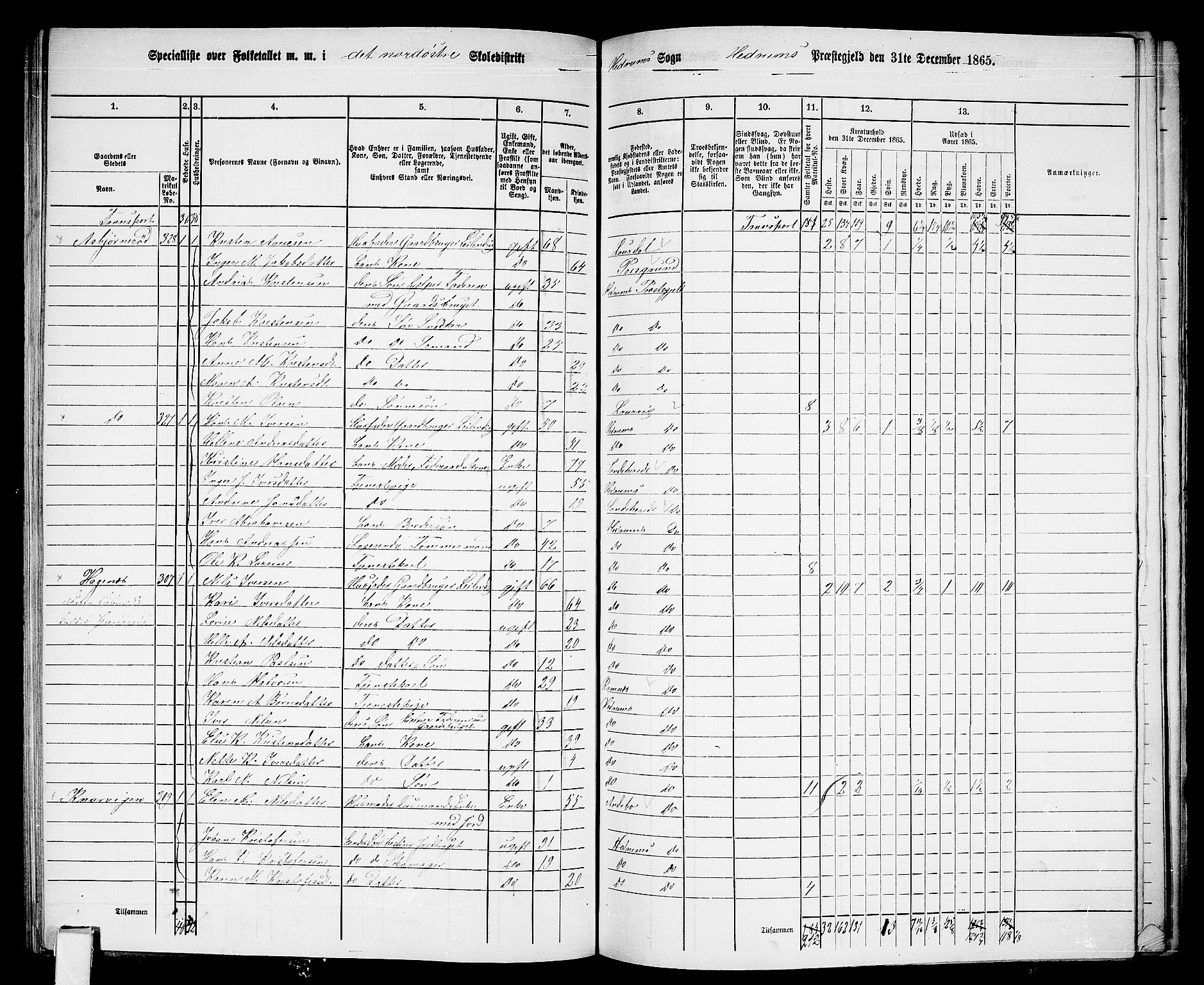 RA, 1865 census for Hedrum, 1865, p. 75