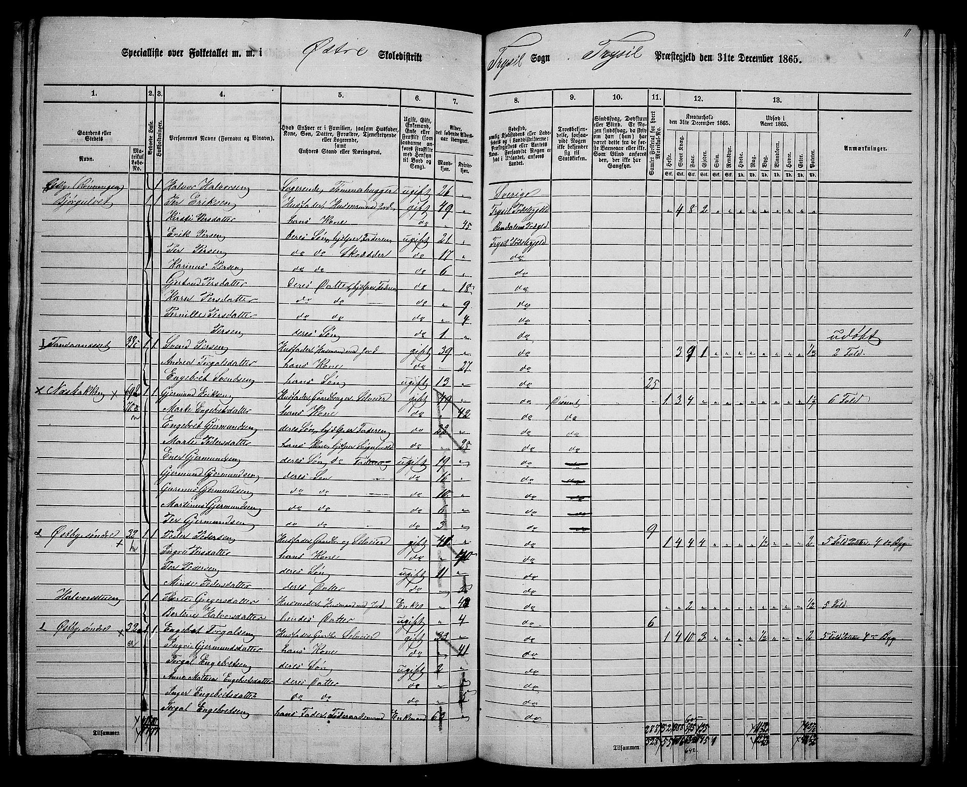 RA, 1865 census for Trysil, 1865, p. 137