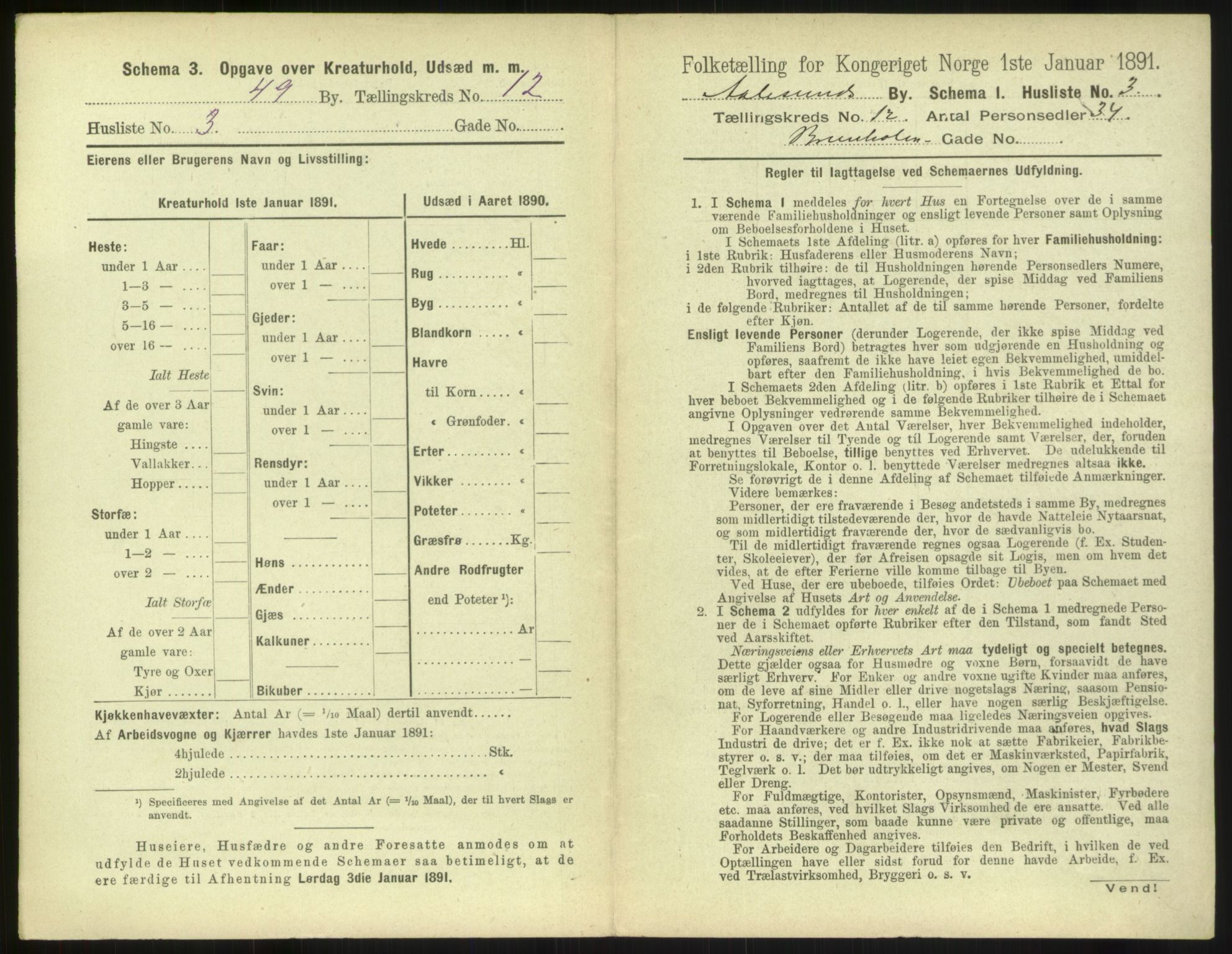 RA, 1891 census for 1501 Ålesund, 1891, p. 868