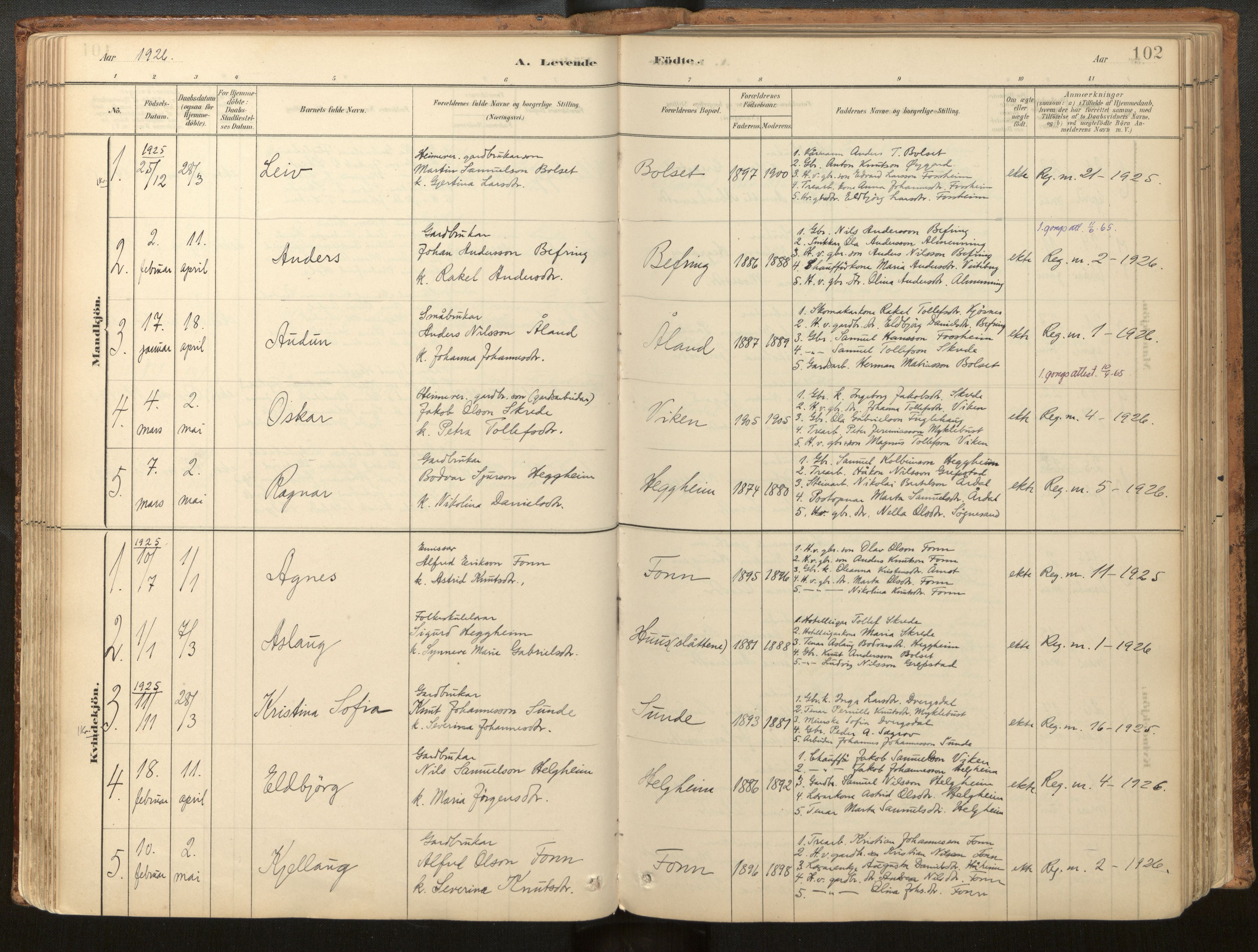 Jølster sokneprestembete, SAB/A-80701/H/Haa/Haac/L0001: Parish register (official) no. C 1, 1882-1928, p. 102