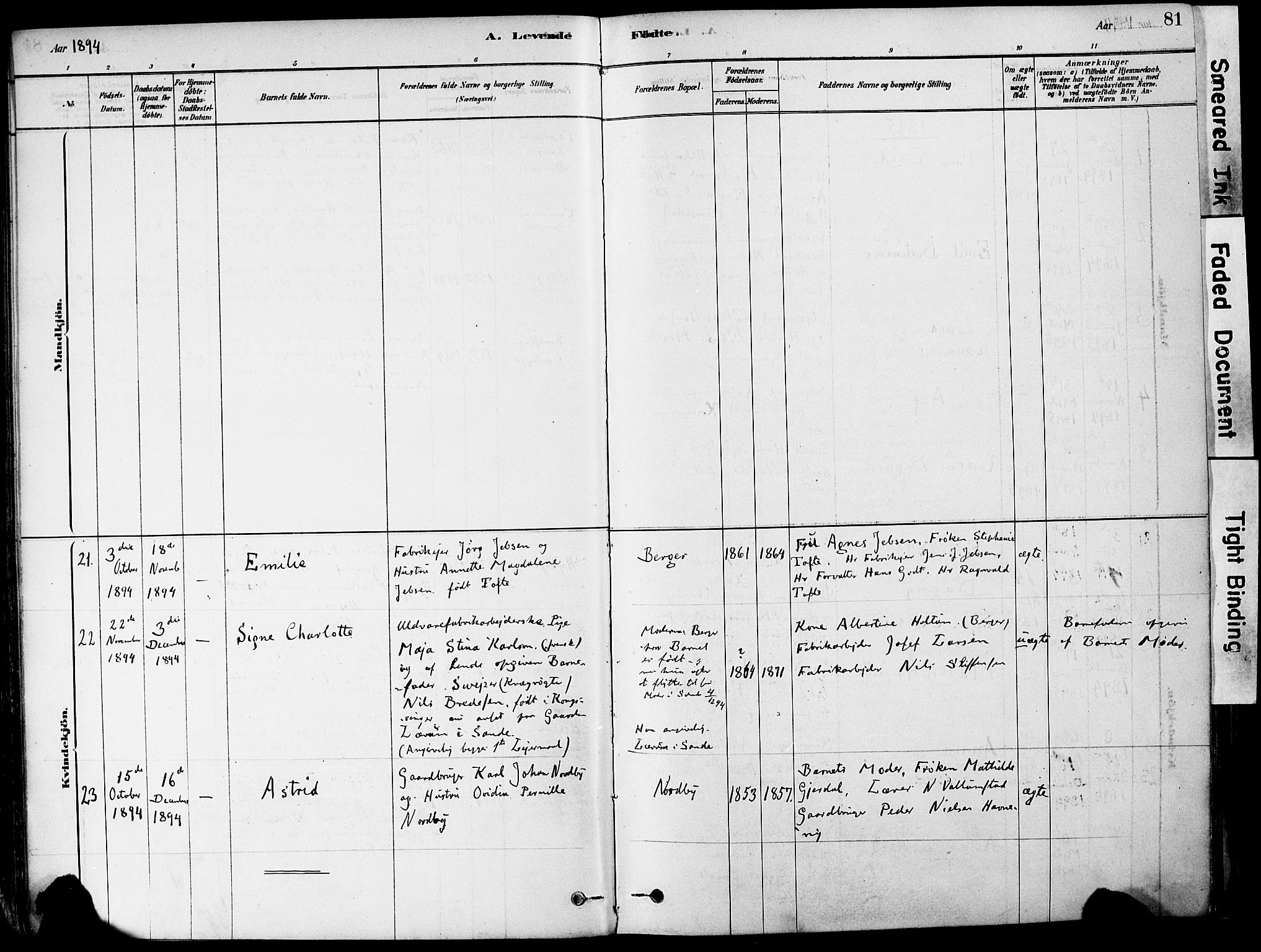 Strømm kirkebøker, AV/SAKO-A-322/F/Fa/L0004: Parish register (official) no. I 4, 1878-1899, p. 81