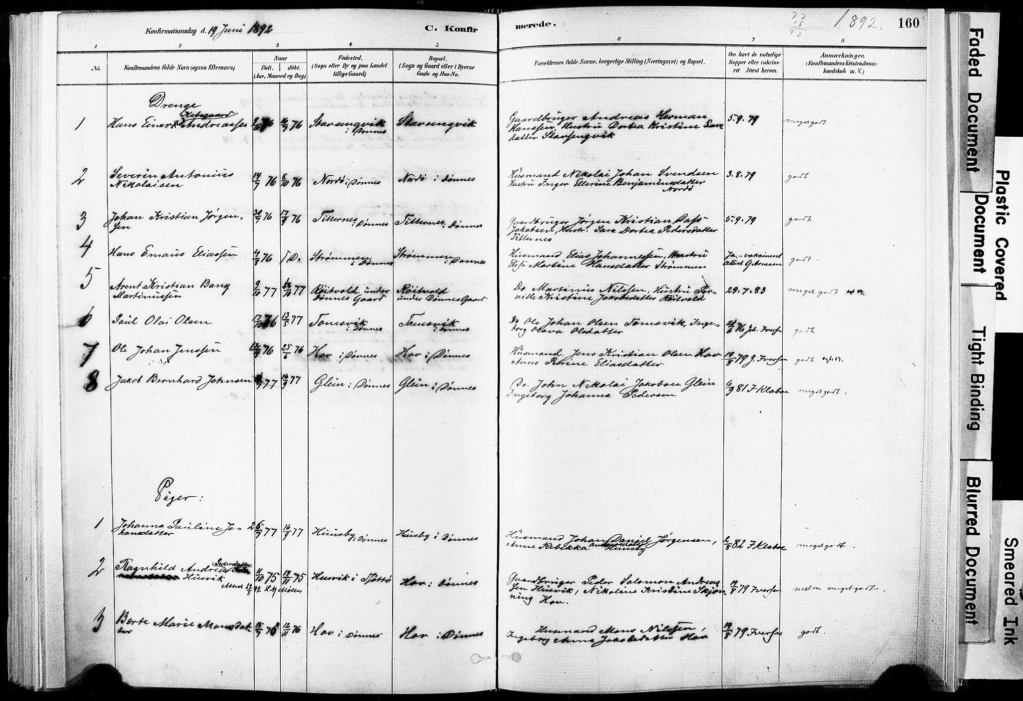 Ministerialprotokoller, klokkerbøker og fødselsregistre - Nordland, AV/SAT-A-1459/835/L0525: Parish register (official) no. 835A03I, 1881-1910, p. 160