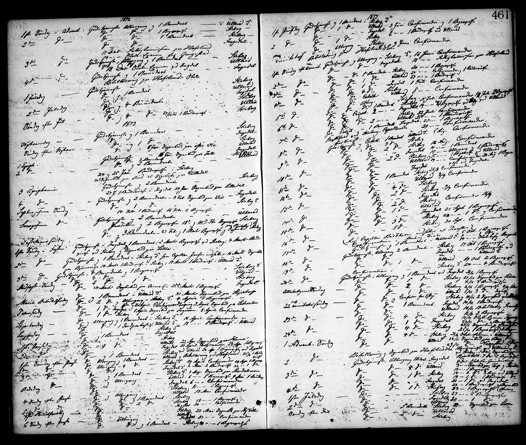 Skjeberg prestekontor Kirkebøker, SAO/A-10923/F/Fa/L0008: Parish register (official) no. I 8, 1869-1885, p. 461