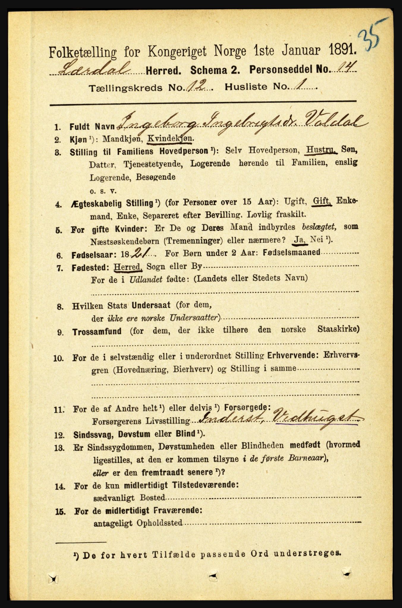 RA, 1891 census for 1422 Lærdal, 1891, p. 2561