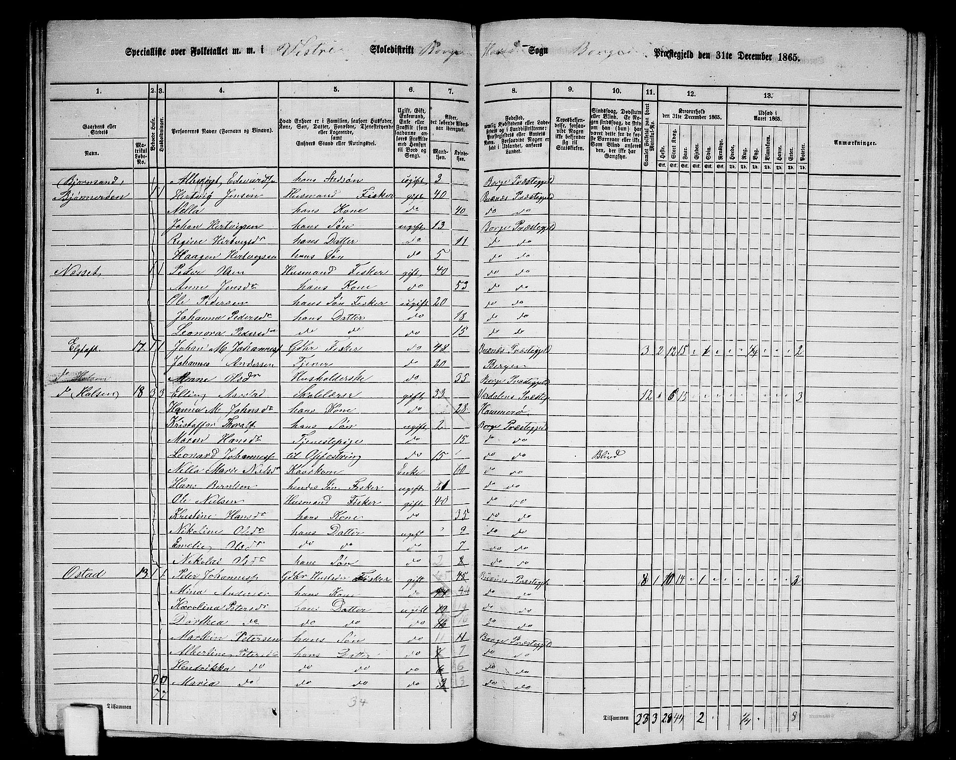RA, 1865 census for Borge, 1865, p. 14