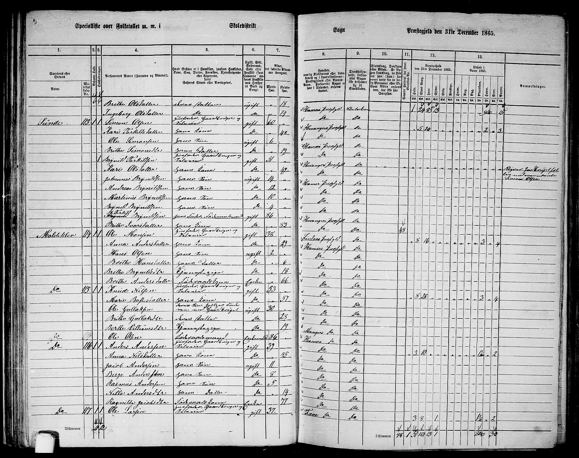 RA, 1865 census for Hamre, 1865, p. 51