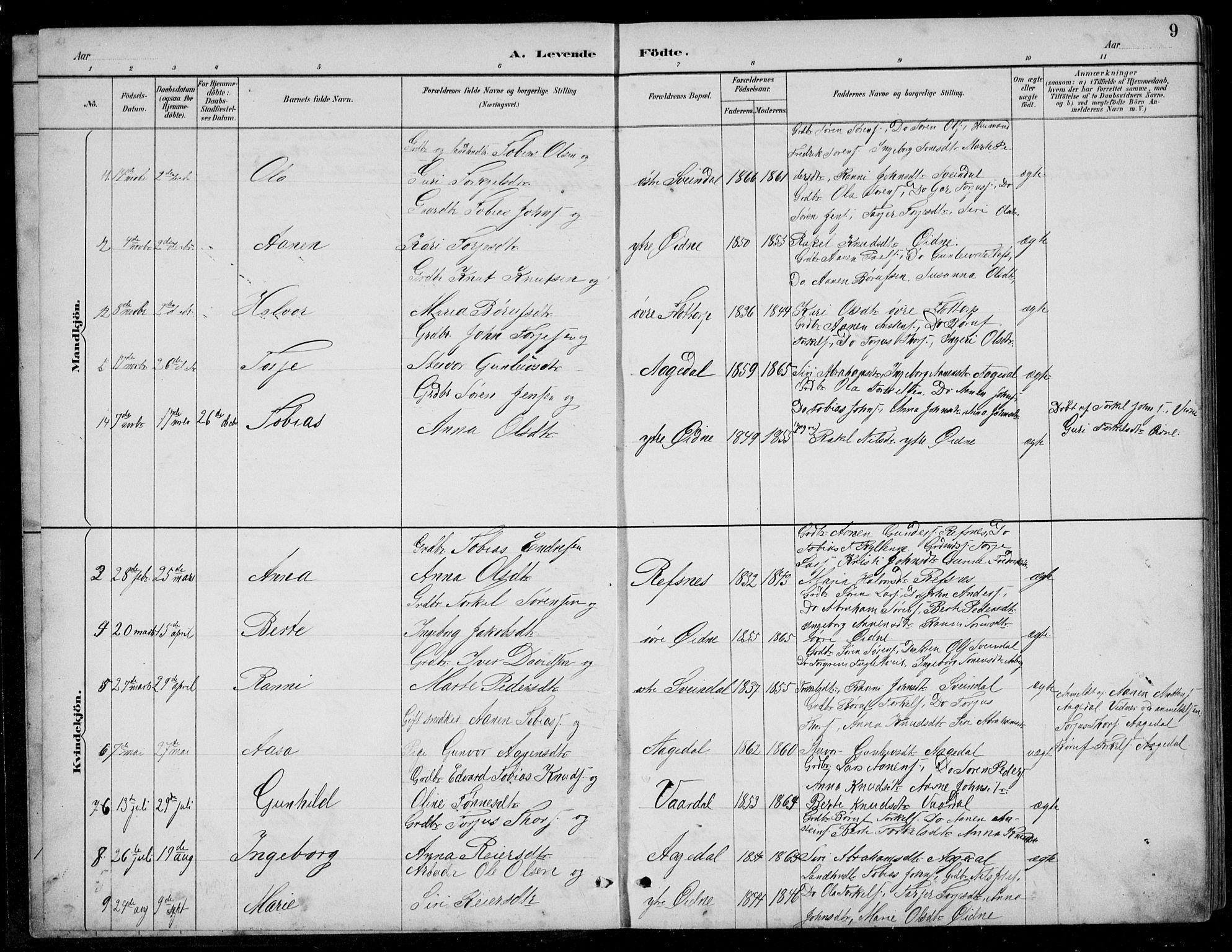 Bjelland sokneprestkontor, SAK/1111-0005/F/Fb/Fbc/L0003: Parish register (copy) no. B 3, 1887-1924, p. 9