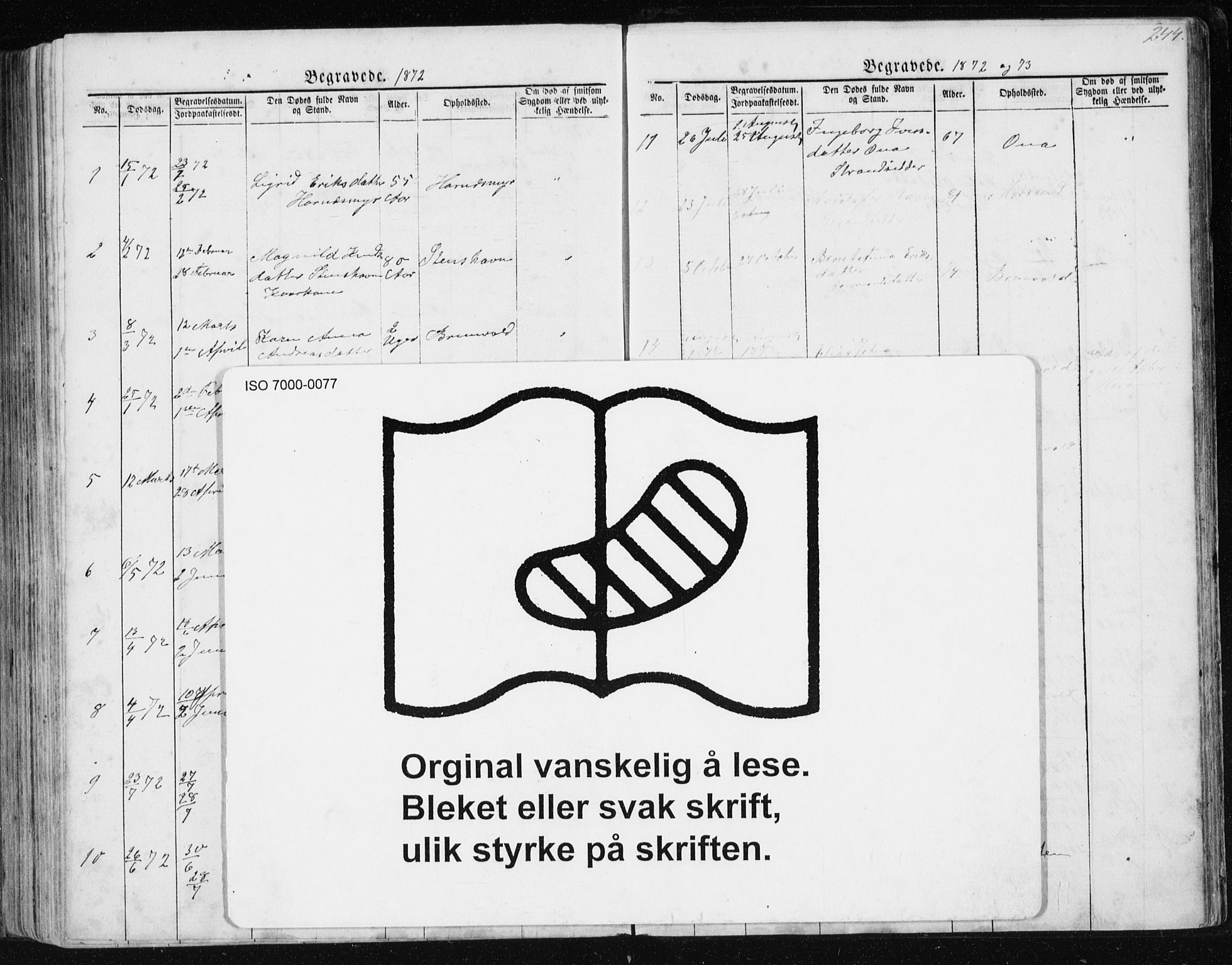 Ministerialprotokoller, klokkerbøker og fødselsregistre - Møre og Romsdal, AV/SAT-A-1454/561/L0732: Parish register (copy) no. 561C02, 1867-1900, p. 244