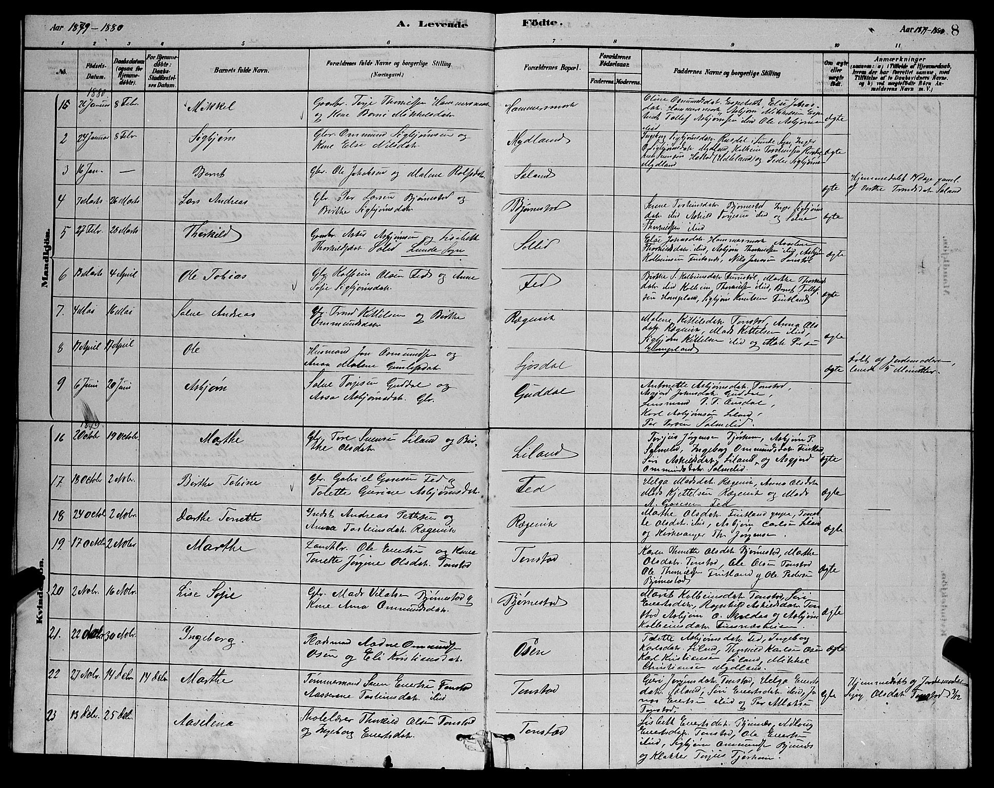 Sirdal sokneprestkontor, AV/SAK-1111-0036/F/Fb/Fbb/L0003: Parish register (copy) no. B 3, 1878-1894, p. 8