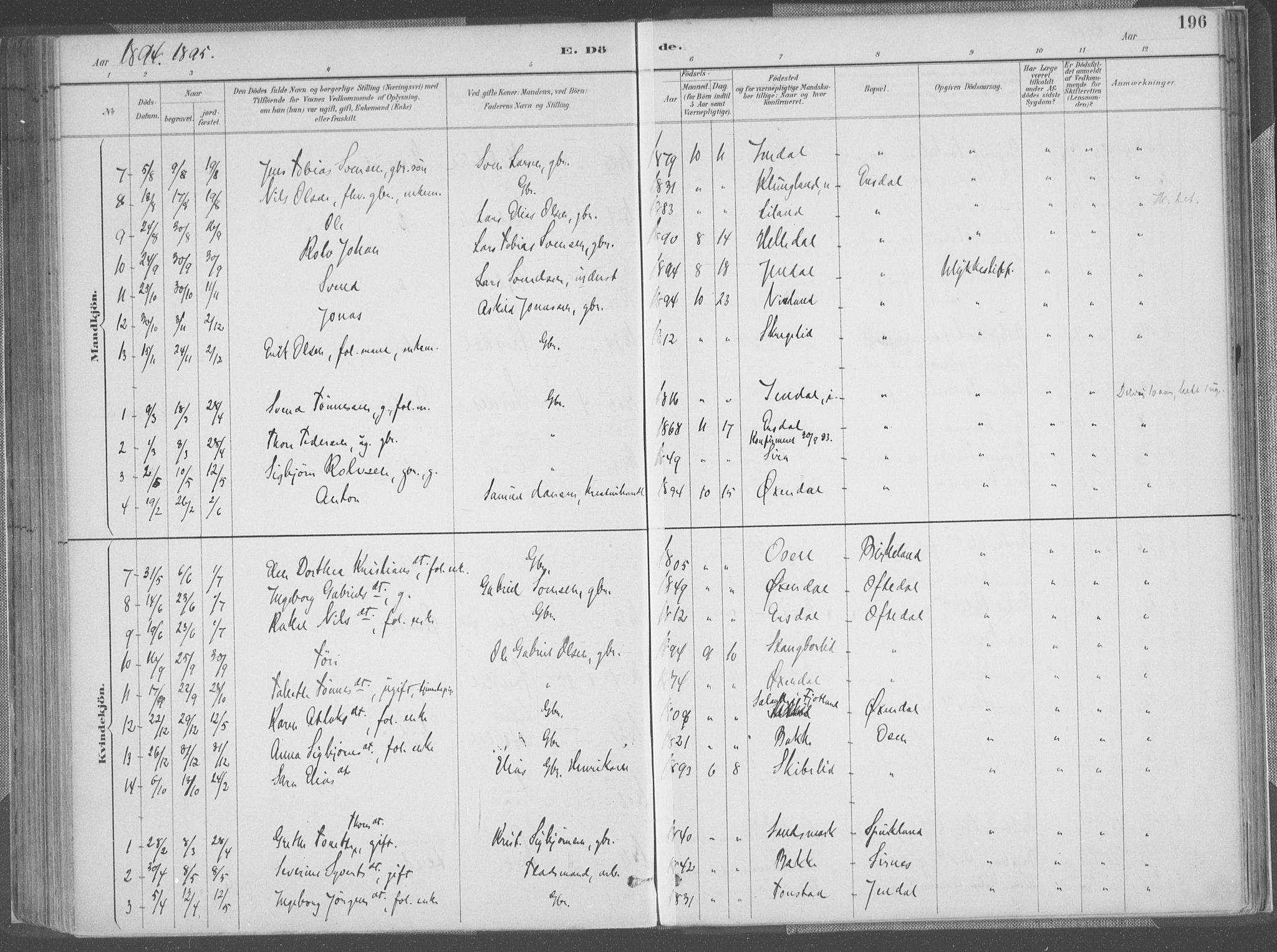 Bakke sokneprestkontor, SAK/1111-0002/F/Fa/Faa/L0008: Parish register (official) no. A 8, 1887-1911, p. 196