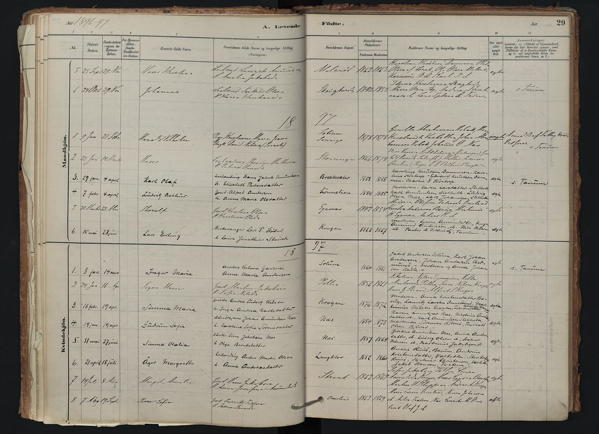 Brunlanes kirkebøker, AV/SAKO-A-342/F/Fd/L0001: Parish register (official) no. IV 1, 1878-1917, p. 29