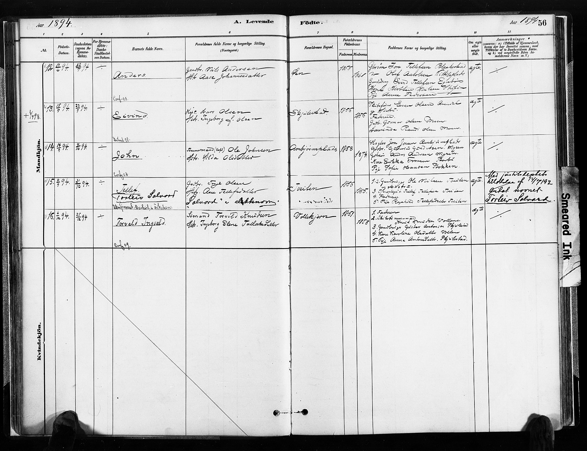 Austre Moland sokneprestkontor, SAK/1111-0001/F/Fa/Faa/L0010: Parish register (official) no. A 10, 1880-1904, p. 56