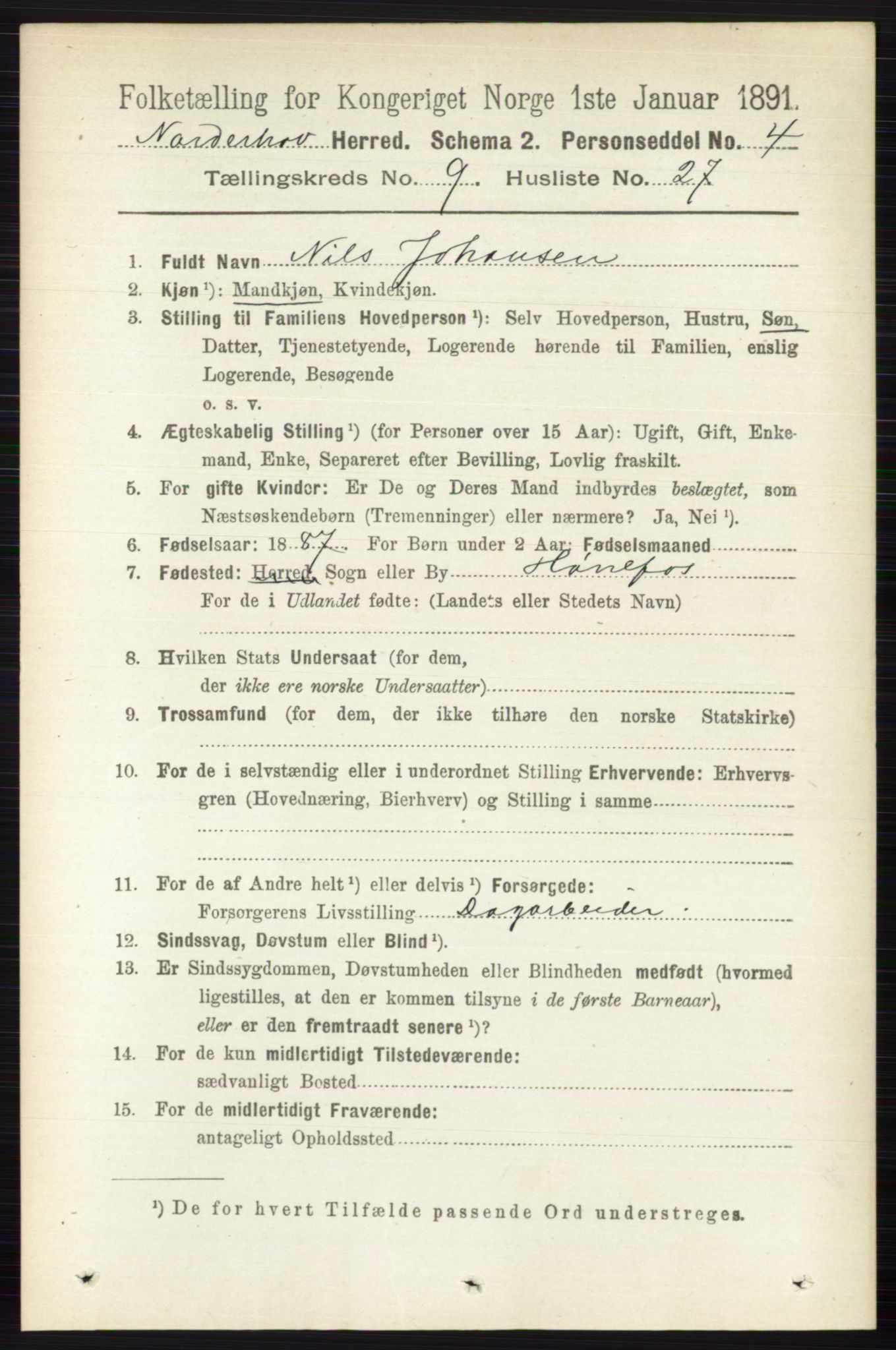 RA, 1891 census for 0613 Norderhov, 1891, p. 6768