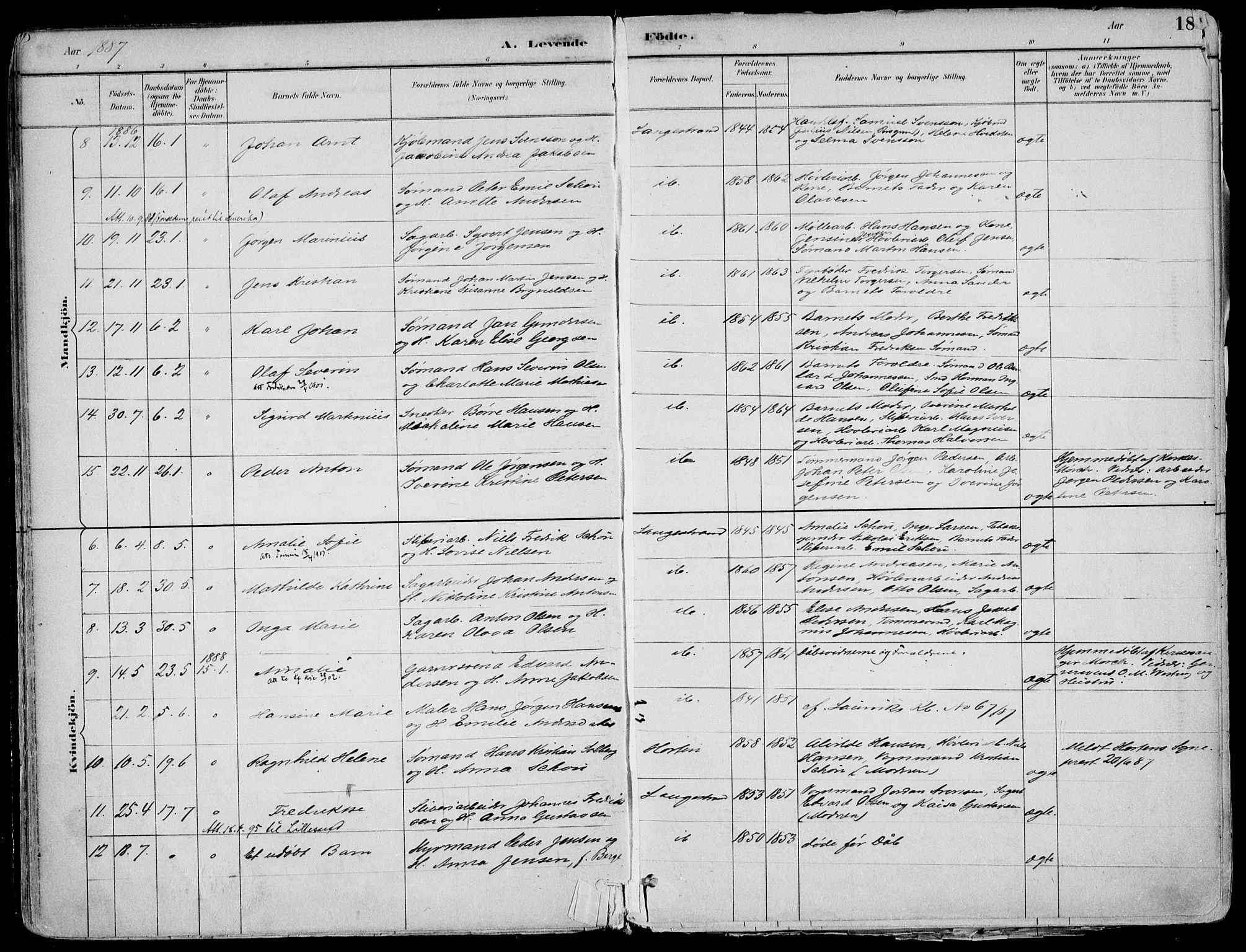 Larvik kirkebøker, AV/SAKO-A-352/F/Fb/L0004: Parish register (official) no. II 4, 1884-1902, p. 18