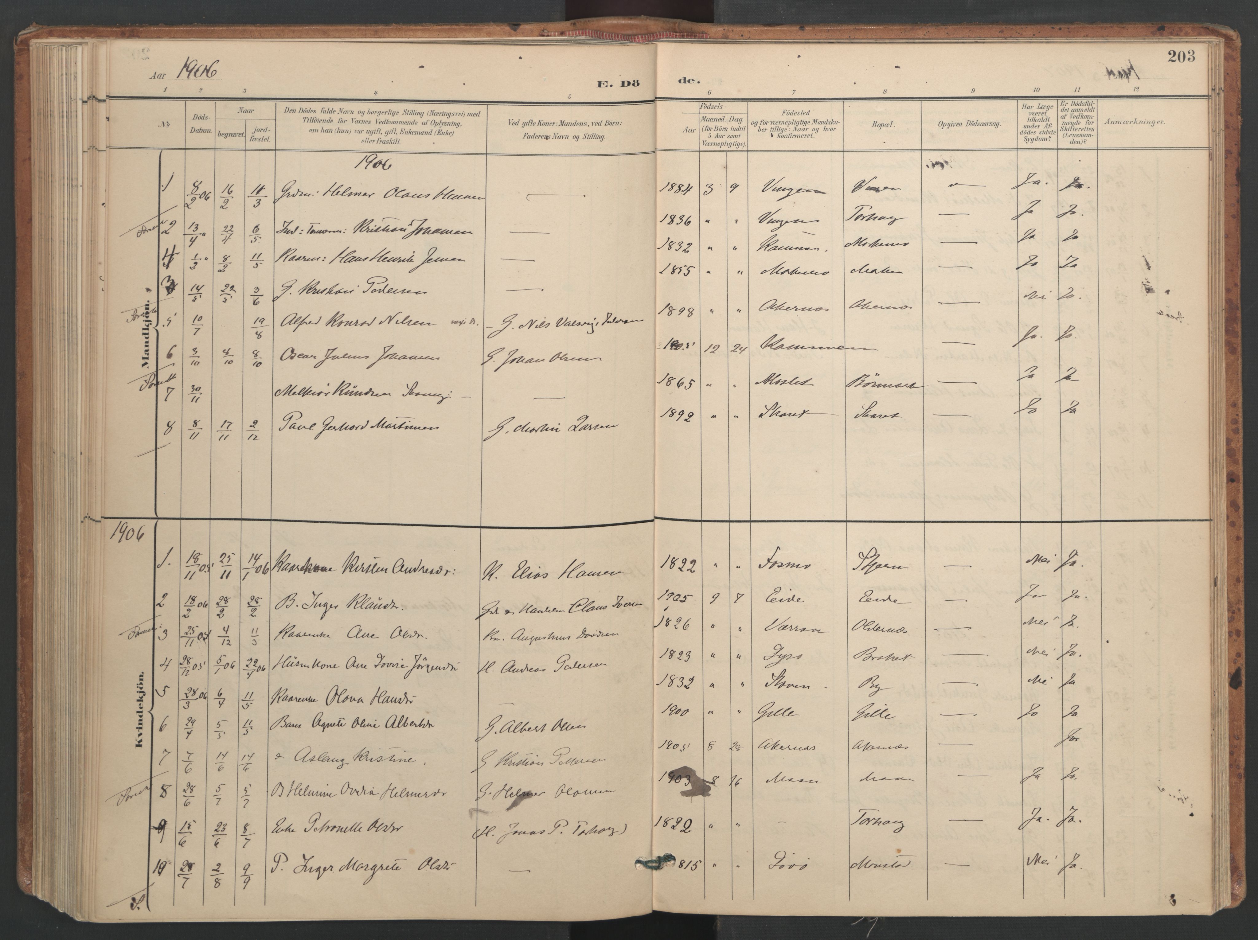 Ministerialprotokoller, klokkerbøker og fødselsregistre - Sør-Trøndelag, AV/SAT-A-1456/655/L0681: Parish register (official) no. 655A10, 1895-1907, p. 203