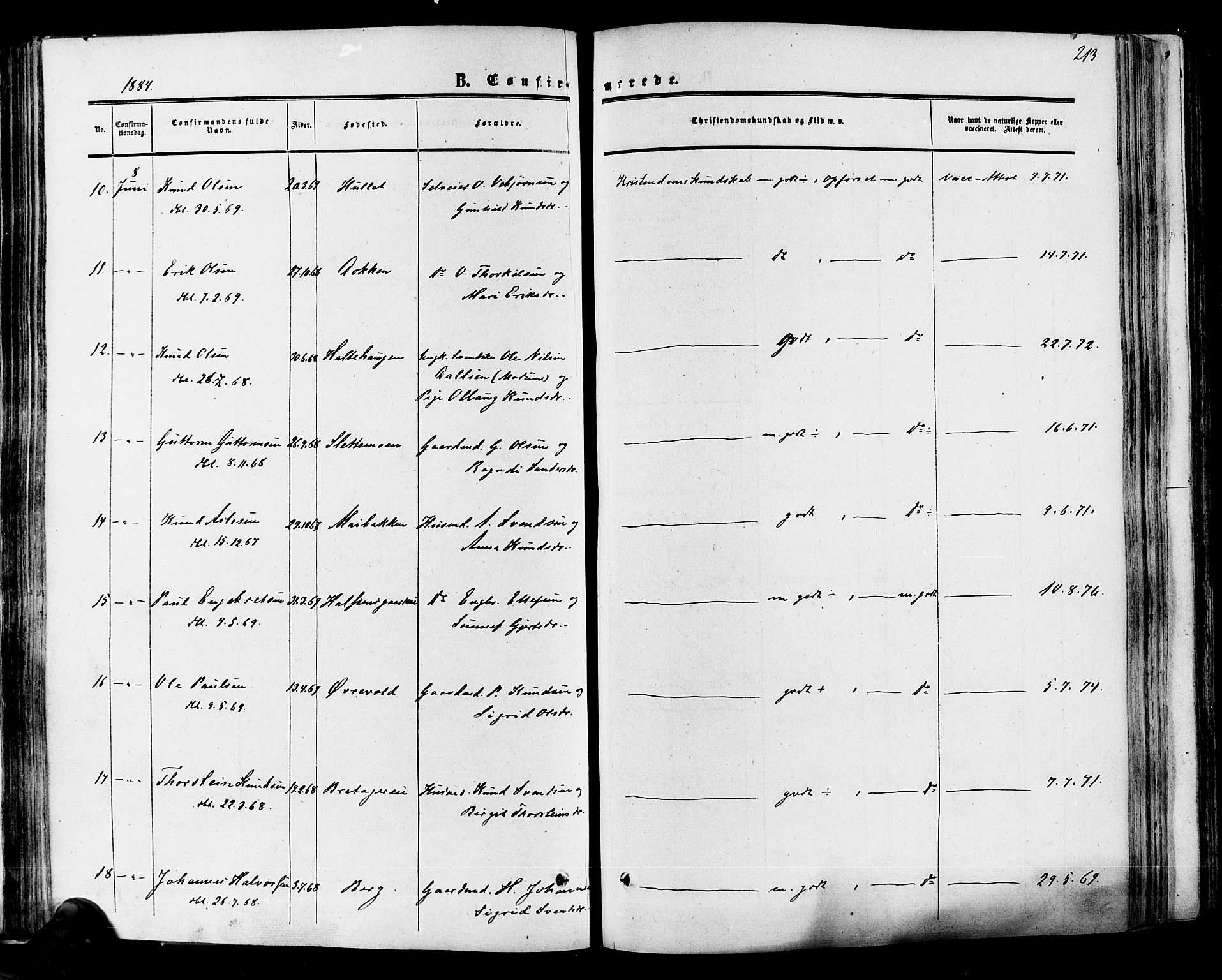 Hol kirkebøker, SAKO/A-227/F/Fa/L0002: Parish register (official) no. I 2, 1870-1886, p. 213