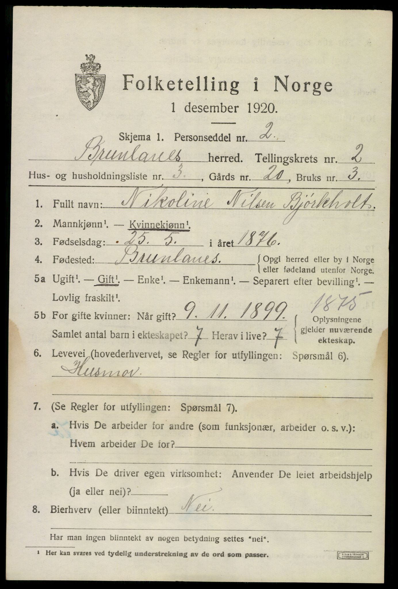 SAKO, 1920 census for Brunlanes, 1920, p. 3341