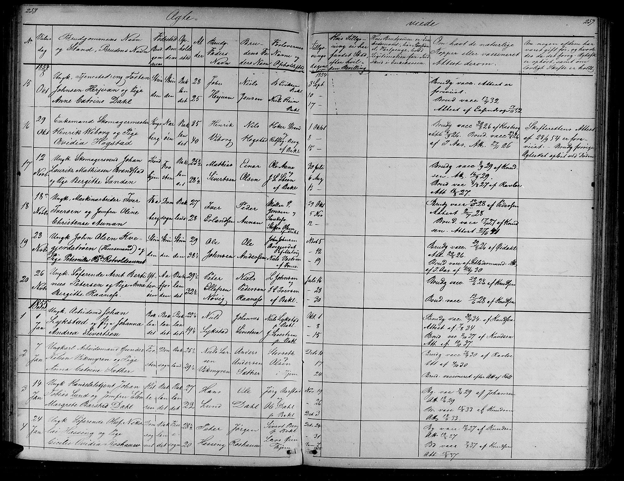 Ministerialprotokoller, klokkerbøker og fødselsregistre - Sør-Trøndelag, SAT/A-1456/604/L0219: Parish register (copy) no. 604C02, 1851-1869, p. 258-259