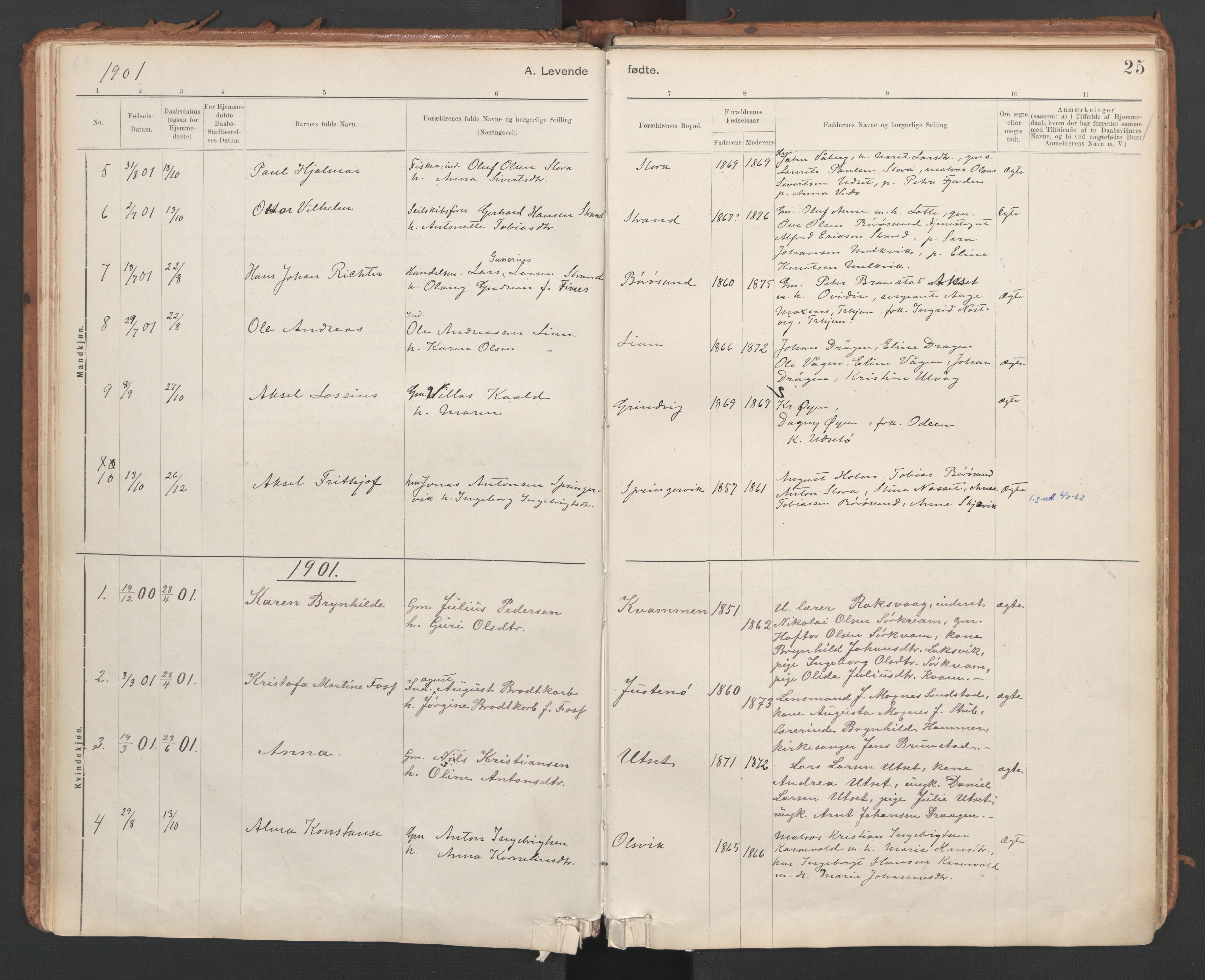 Ministerialprotokoller, klokkerbøker og fødselsregistre - Sør-Trøndelag, SAT/A-1456/639/L0572: Parish register (official) no. 639A01, 1890-1920, p. 25
